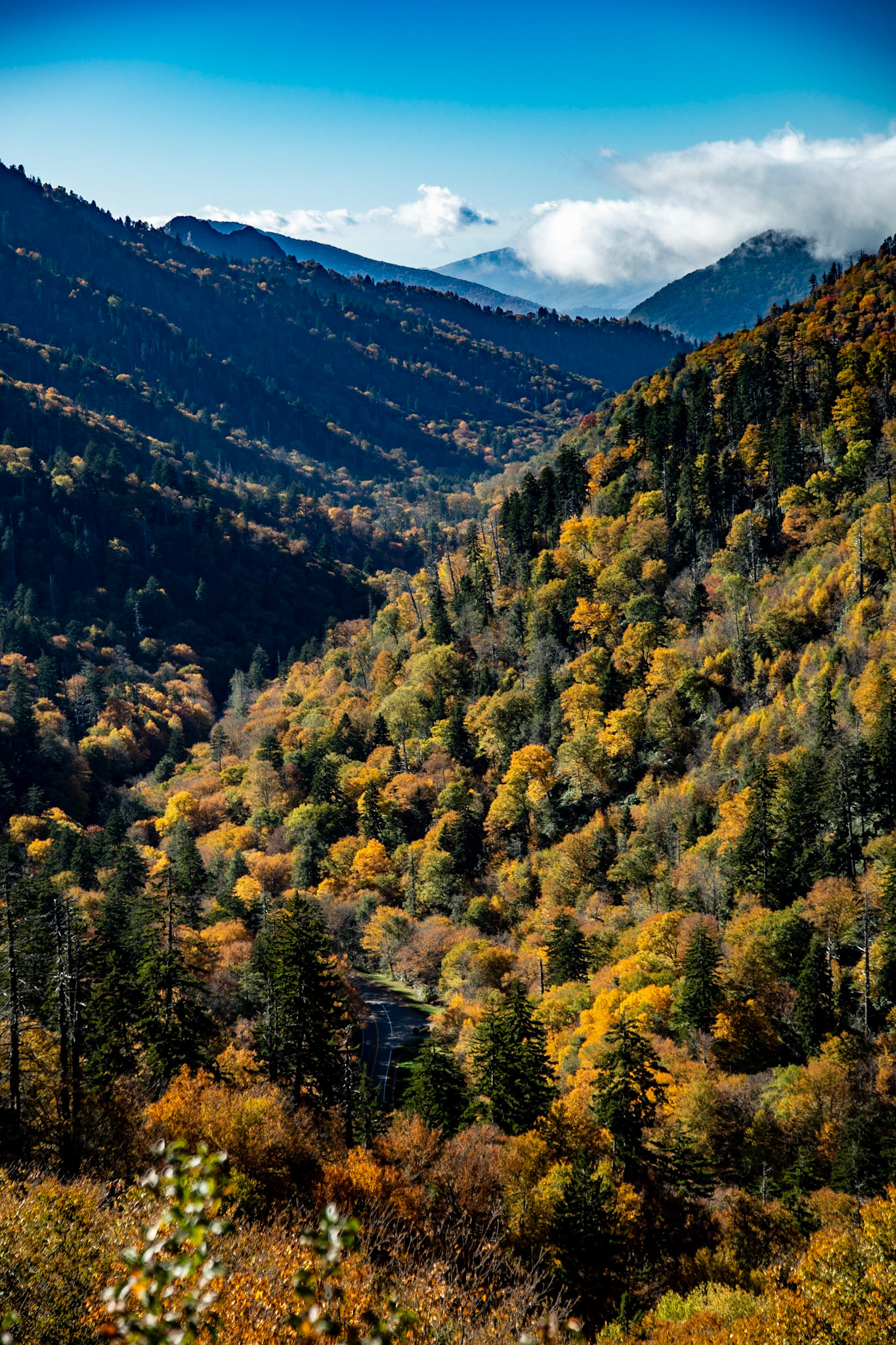 Morton Overlook, Great Smoky Mountains National Park