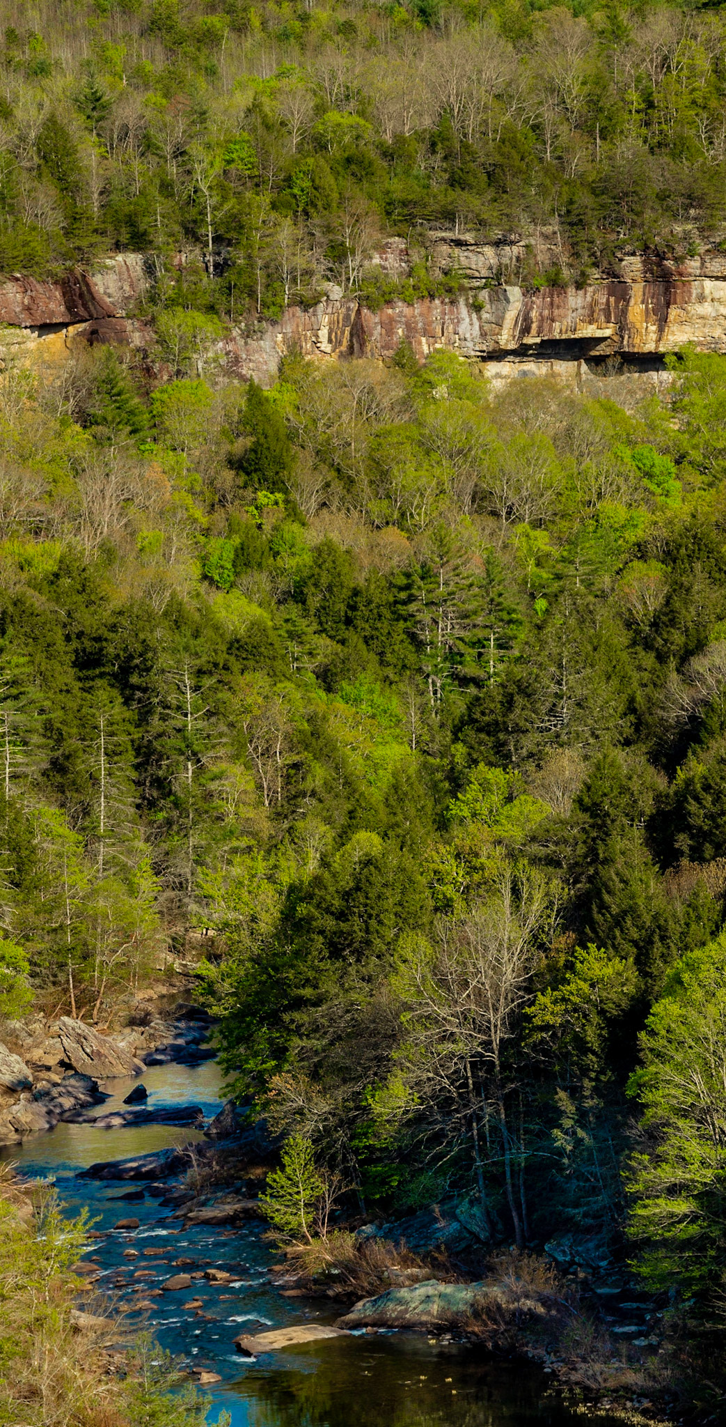 Lilly Bluff Overlook
