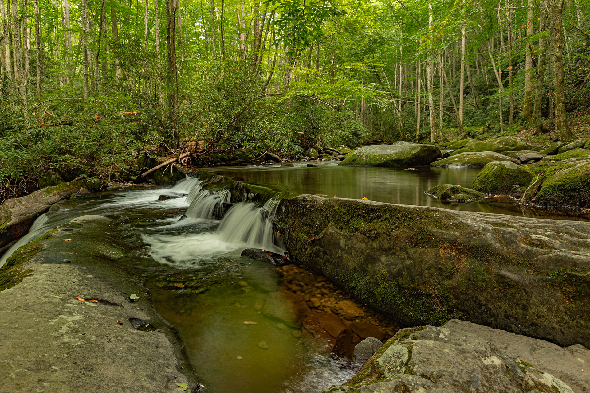 The Knoxville Tennessee airport has a water feature to greet visitor and those of us that call this area home. I wonder how many know that water feature must have been inspired by literally thousands of scenes similar to this in the Great Smoky Mountains National Park and Cherokee National Forest. August 18, 2022 was a great day to be in our Park.