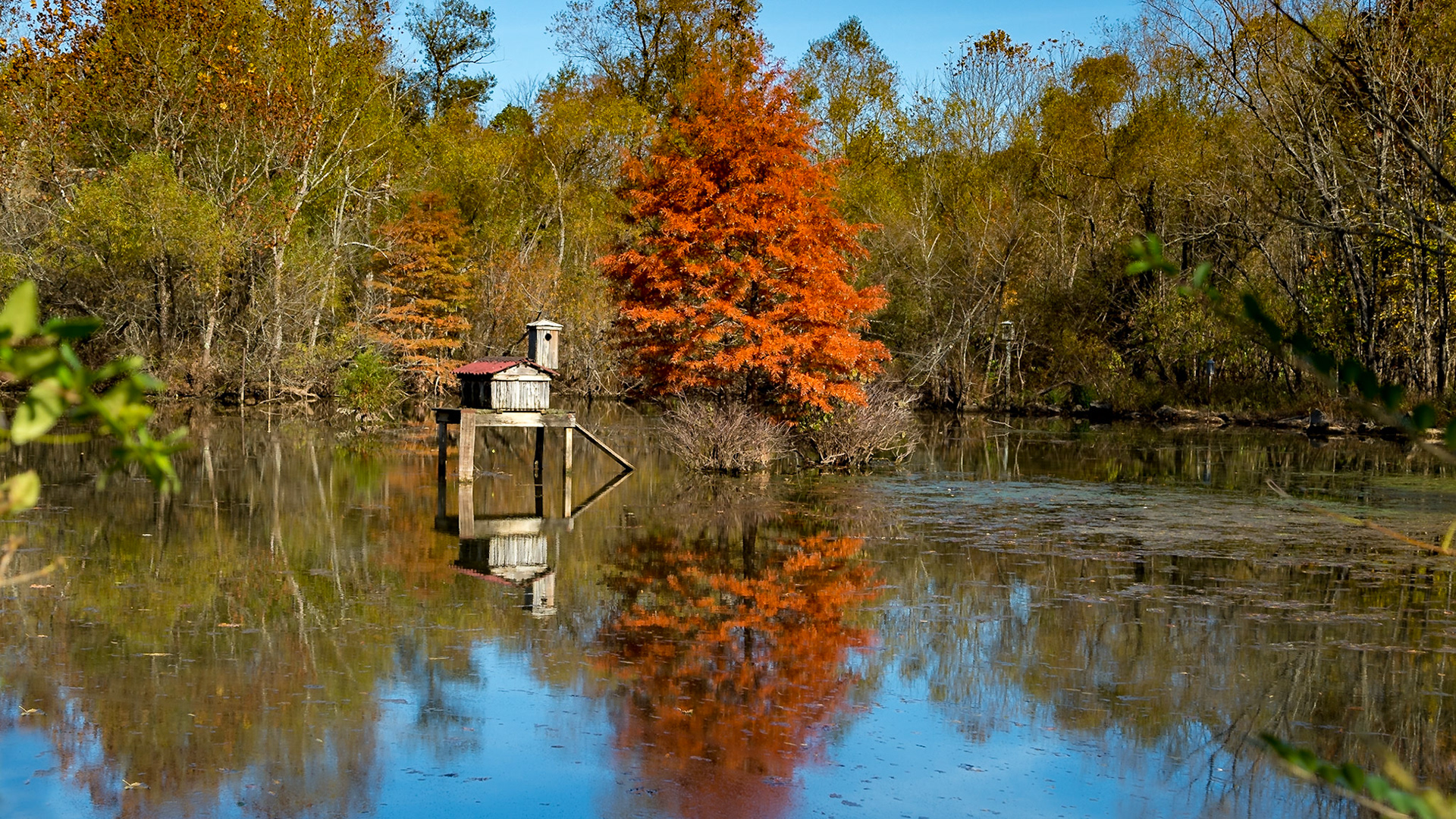 From Scott Lane near Northshore Drive