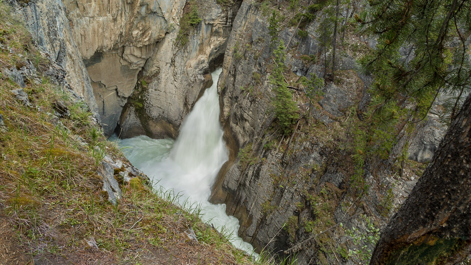 Our next turn off Icefield Parkway was at a lodge, restaurant and gift shop at Sunwapta Falls.  A tremendous amount of water was flowing through a 30 wide “crack” in a rock formation.  The drop is sixty feet, in the form of an upper fall and a lower fall, with the stream soon flowing into the Athabasca River.  Both cascades are spectacular from good waking trails and a bridge over the upper falls.  We walked the area for pictures and video from several perspectives.  Then, we had lunch.