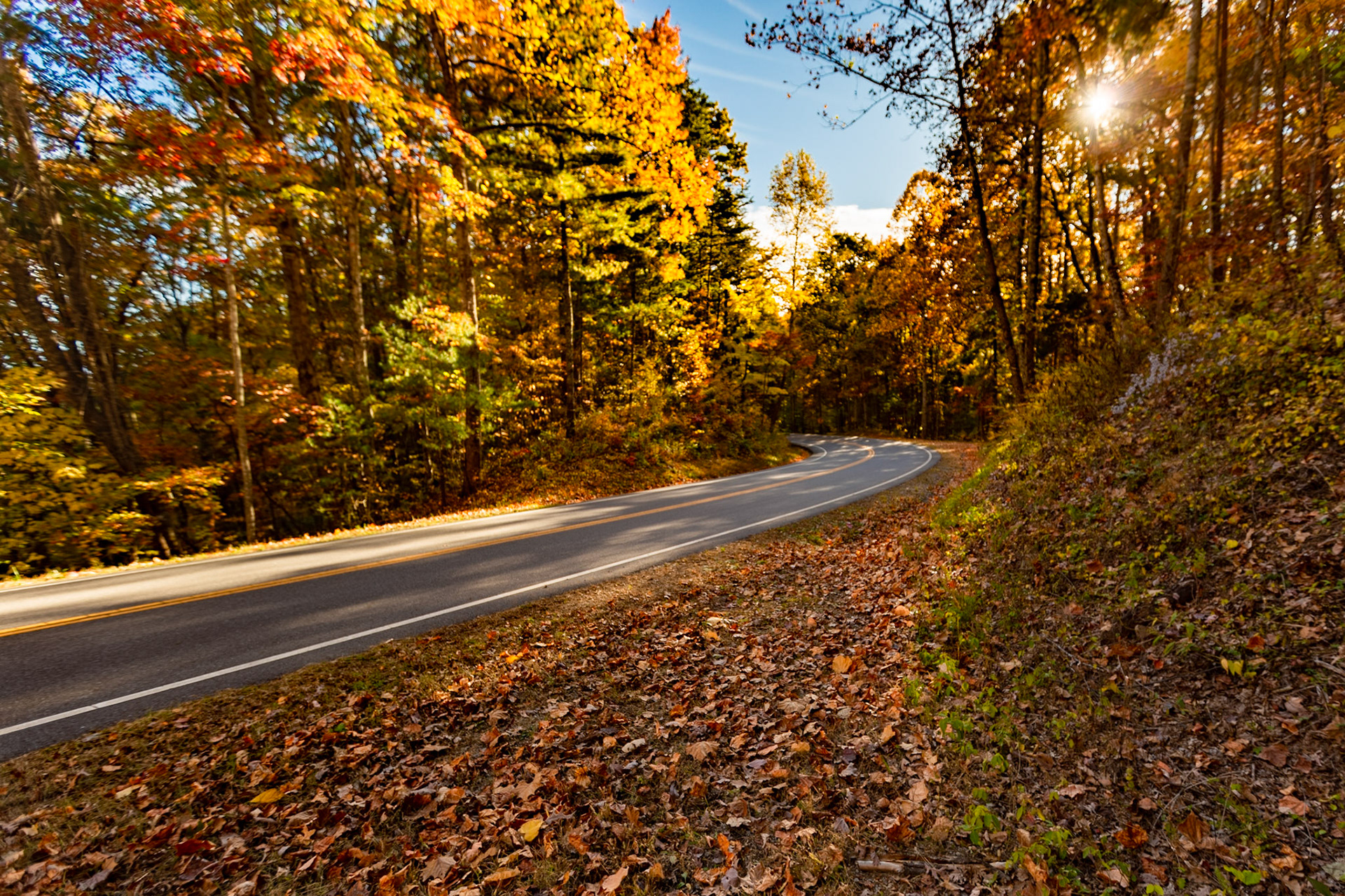 Foothills Parkway, Great Smoky Mountains National Park, Fall Color