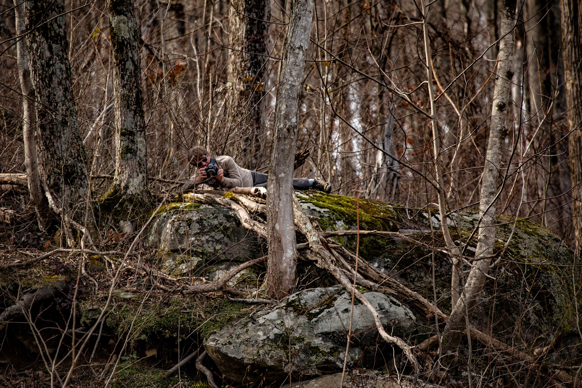 Carlos C. Campbell Overlook, Great Smoky Mountains National Park, February 24, 2026