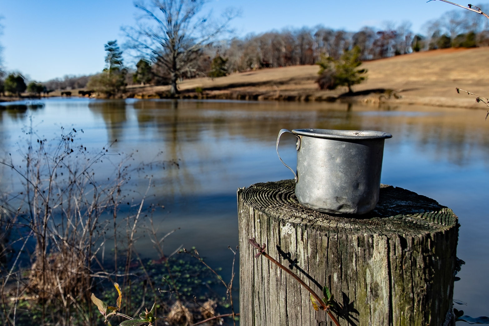 Cup from Grandmother Lewis' Wellhouse