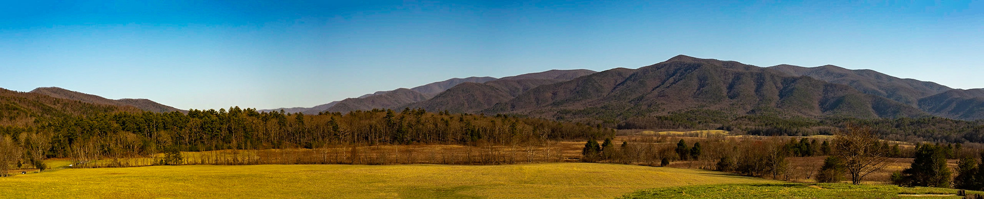 Cades Cove Native Plant Demonstration Plot Overlook