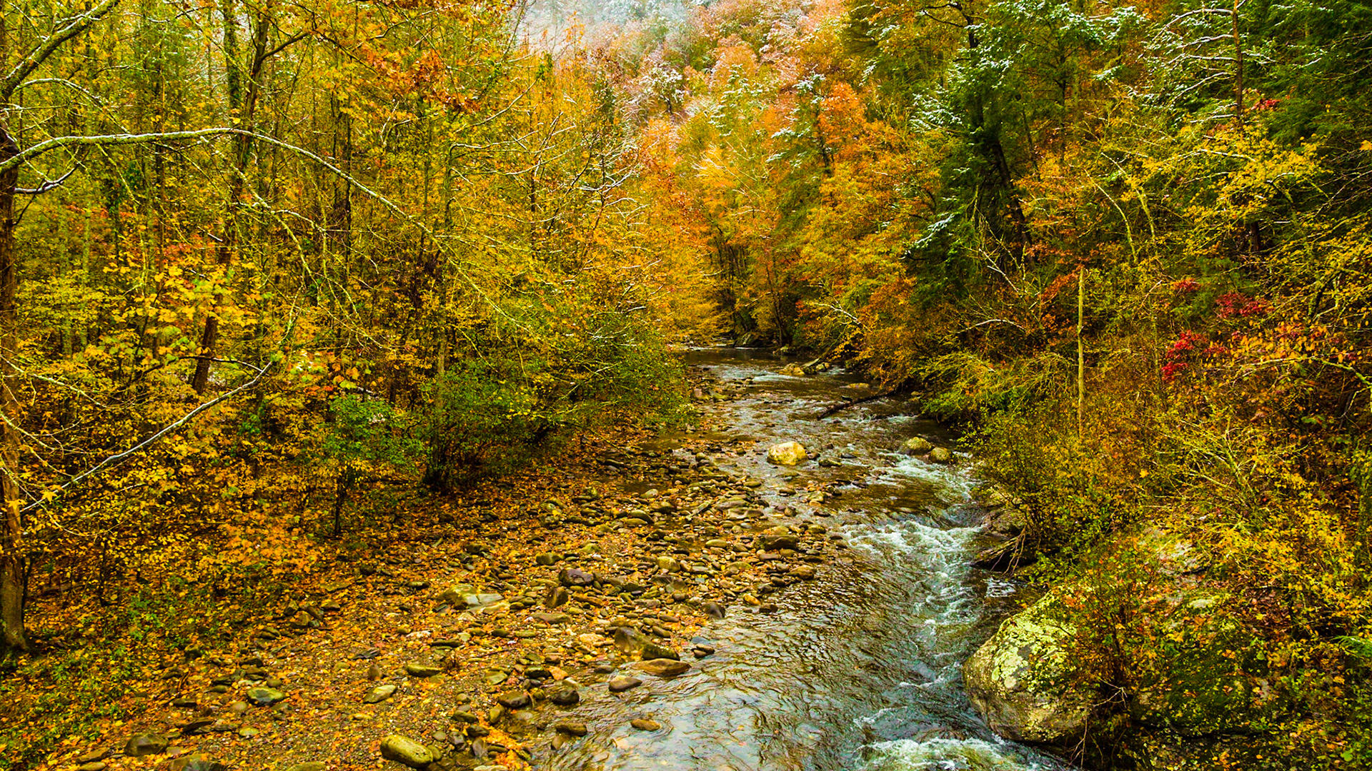 It was the day after Halloween, with considerable snow above 2,500 feet elevation.  Mt. LeConte had 22 inches.  All the Smoky Mountains National Park roads were closed.  We went to Townsend anyway.  The fall color was great.  At Cades Cove Road, it was time to walk for a bit.  Before leaving the area, we took a side trip to Wears Valley Methodist.