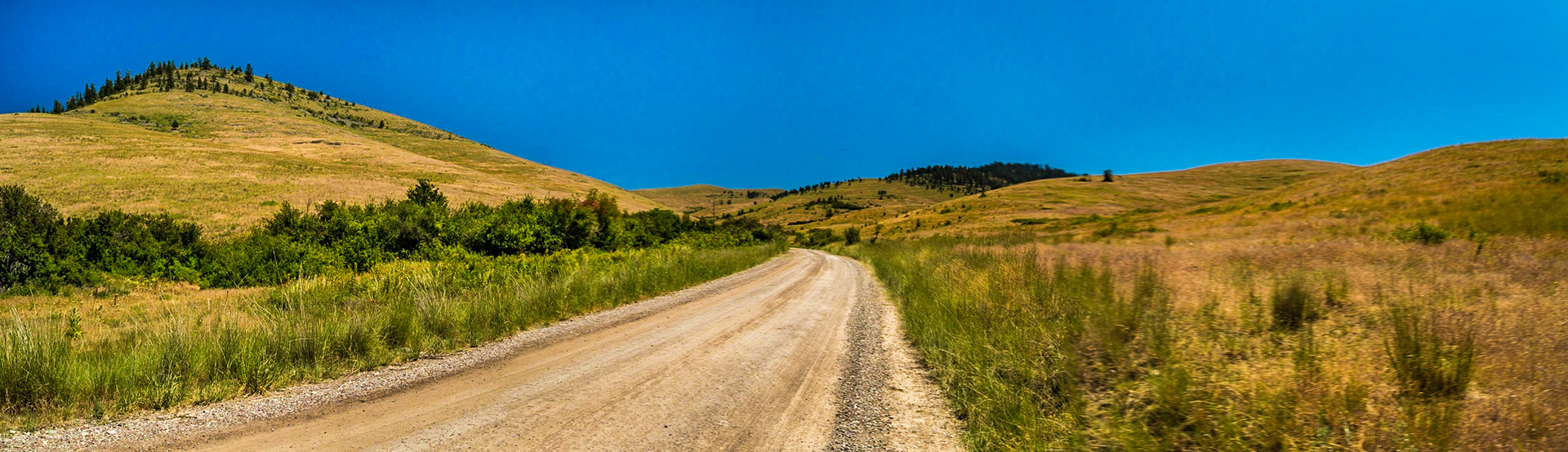 National Bison Range | Montana
