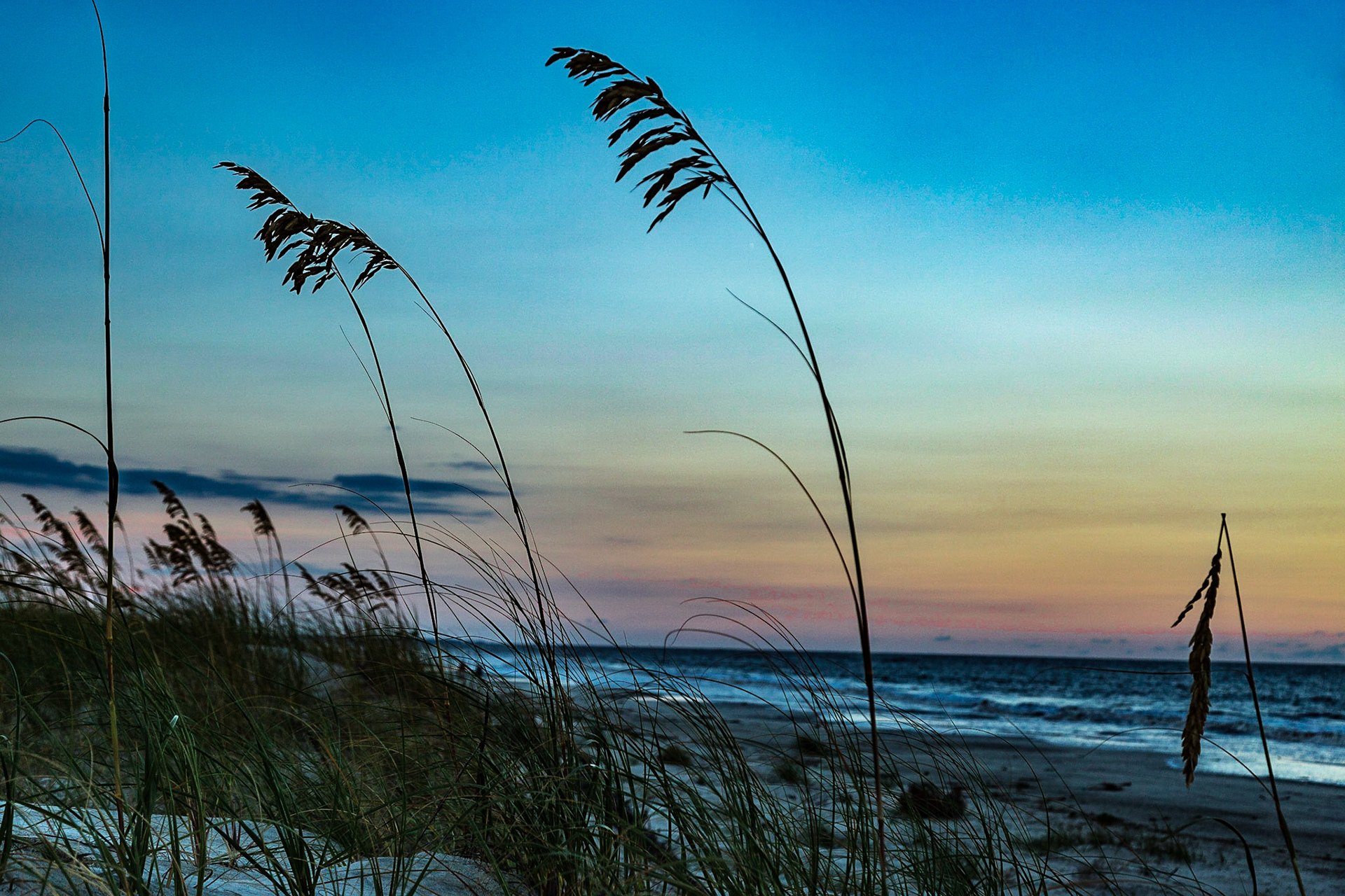 Evening Walk on the Beach