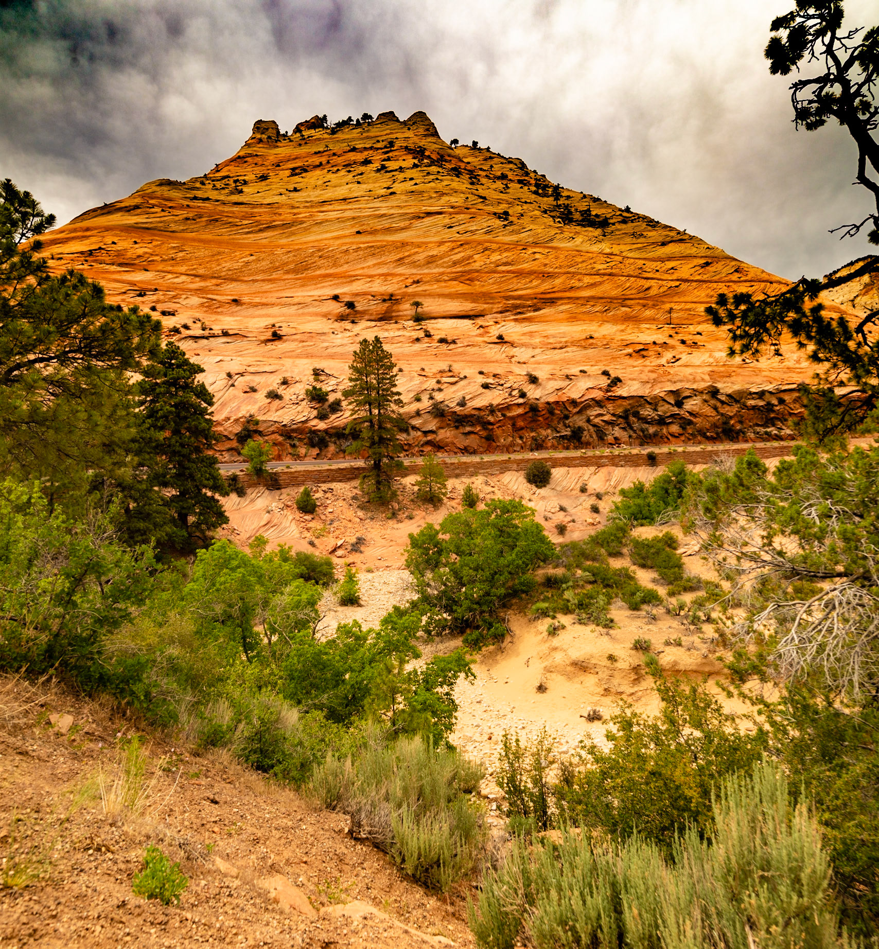Zion National Park East Entrance Road