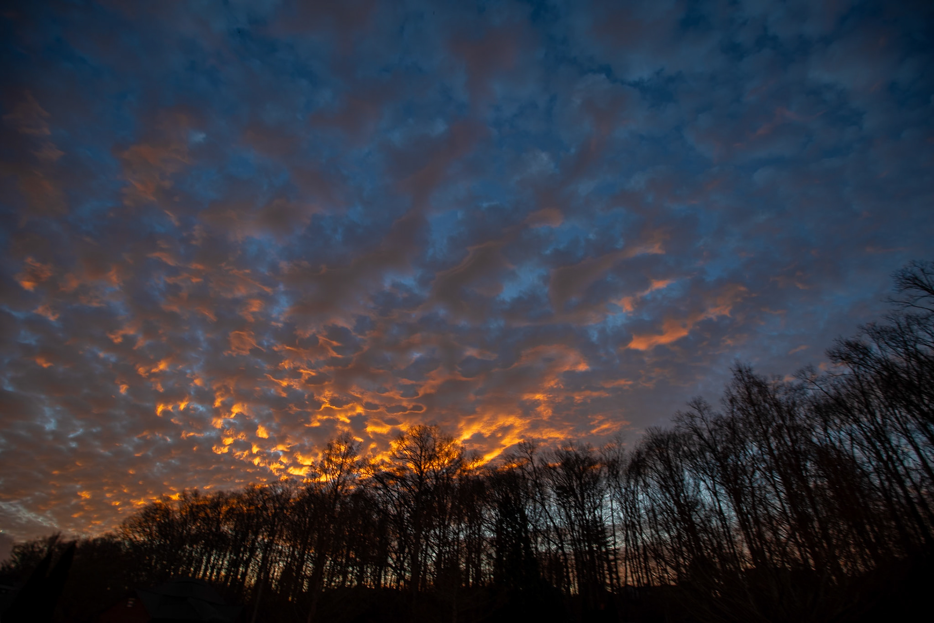 Sunrise from Home, February 17, 2026