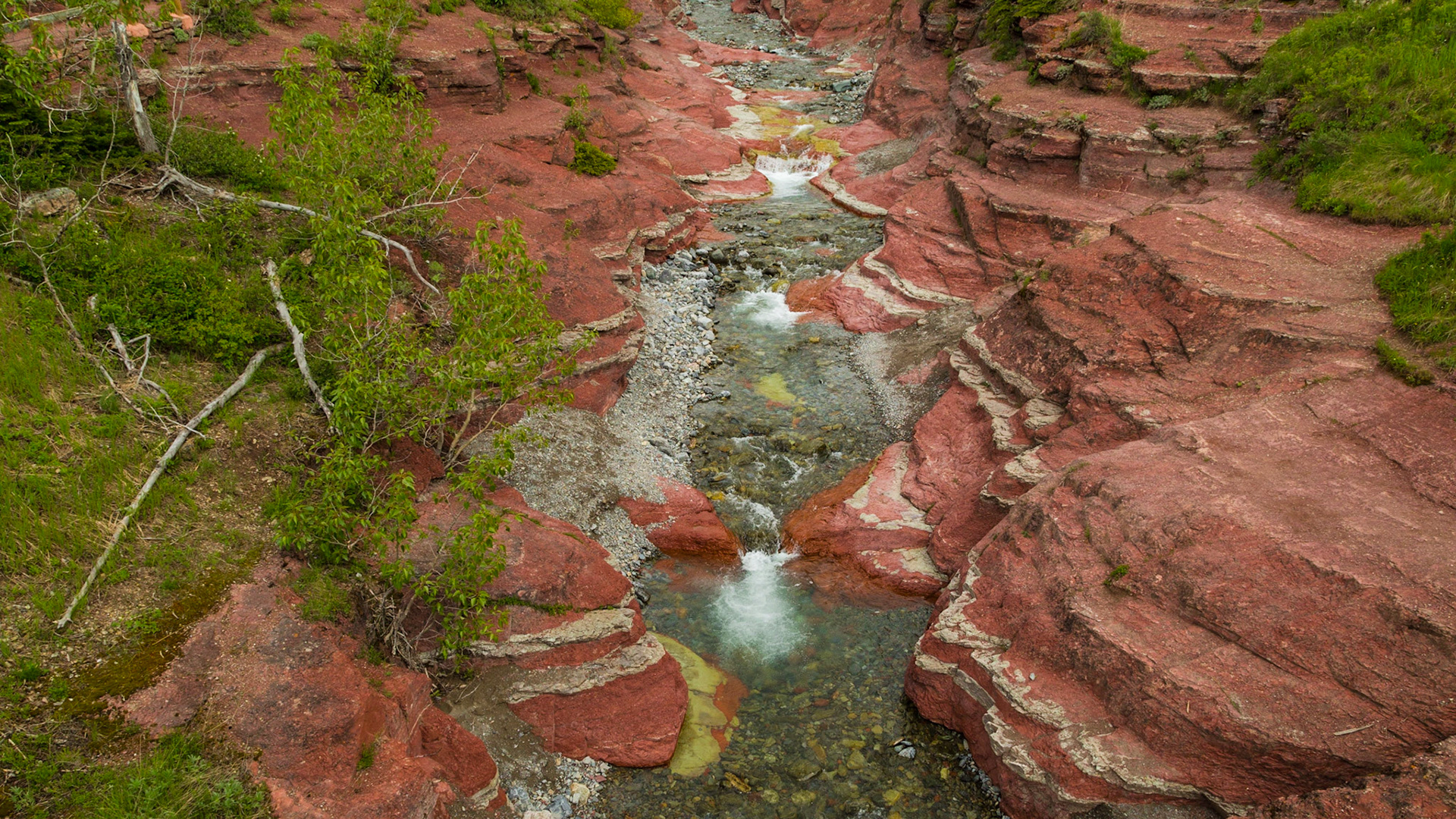 At the lower end of Red Rock Canyon, it opens into a wide gorge of smooth red stone, streaked with white layers.