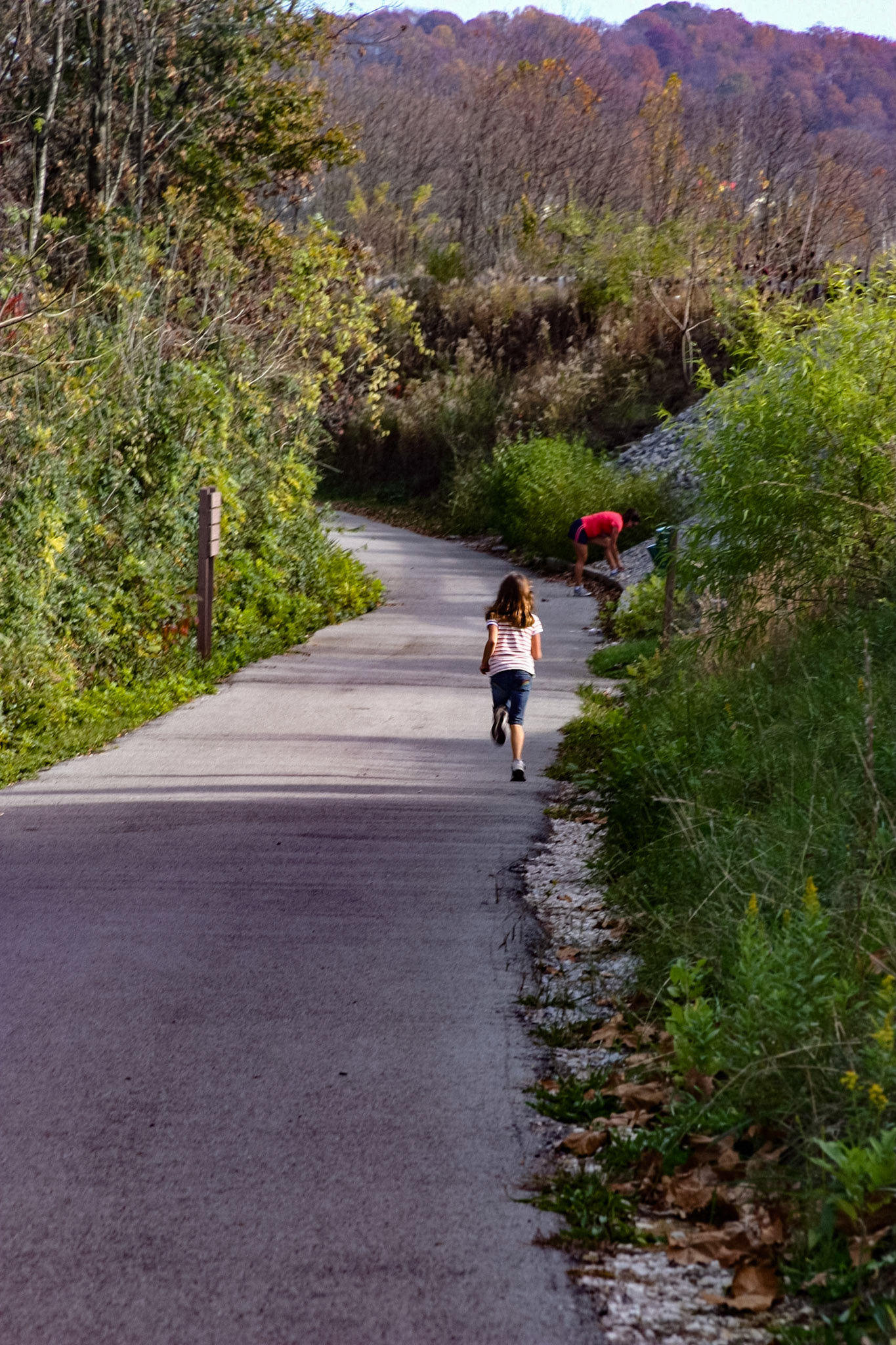Turkey Creek Wetlands Walking Trail, November 20, 2009