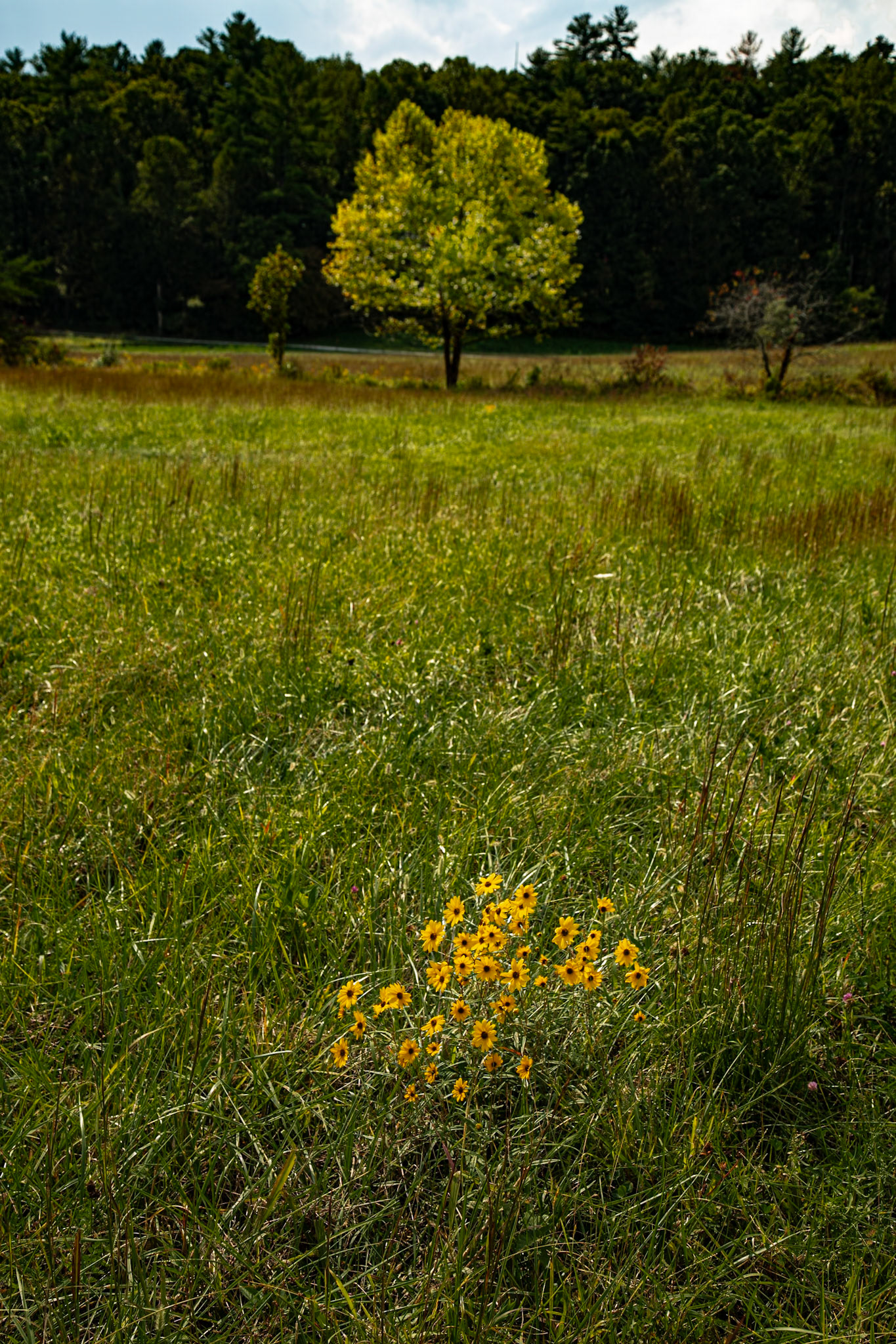 First Day of Autum, Cades Cove, Great Smoky Mountains National Park, September 22, 2025