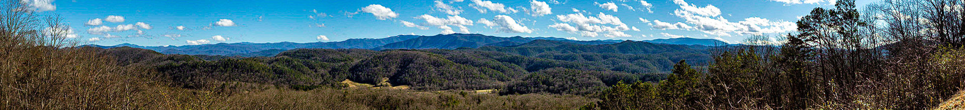 Foothills Parkway West Overlook #1