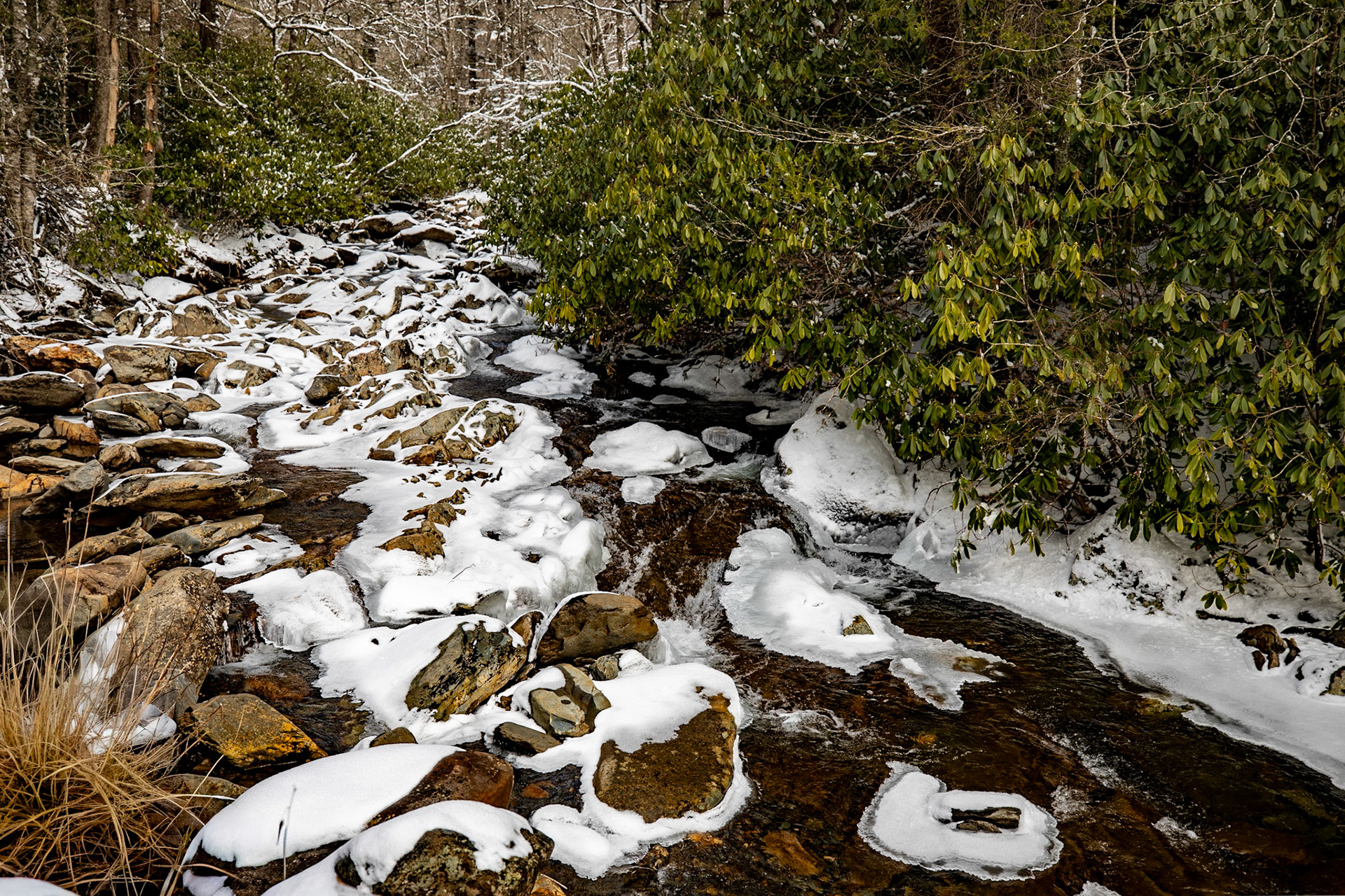 Walker Camp Prong alongside Highway 441, Great Smoky Mountains National Park, February 24, 2026