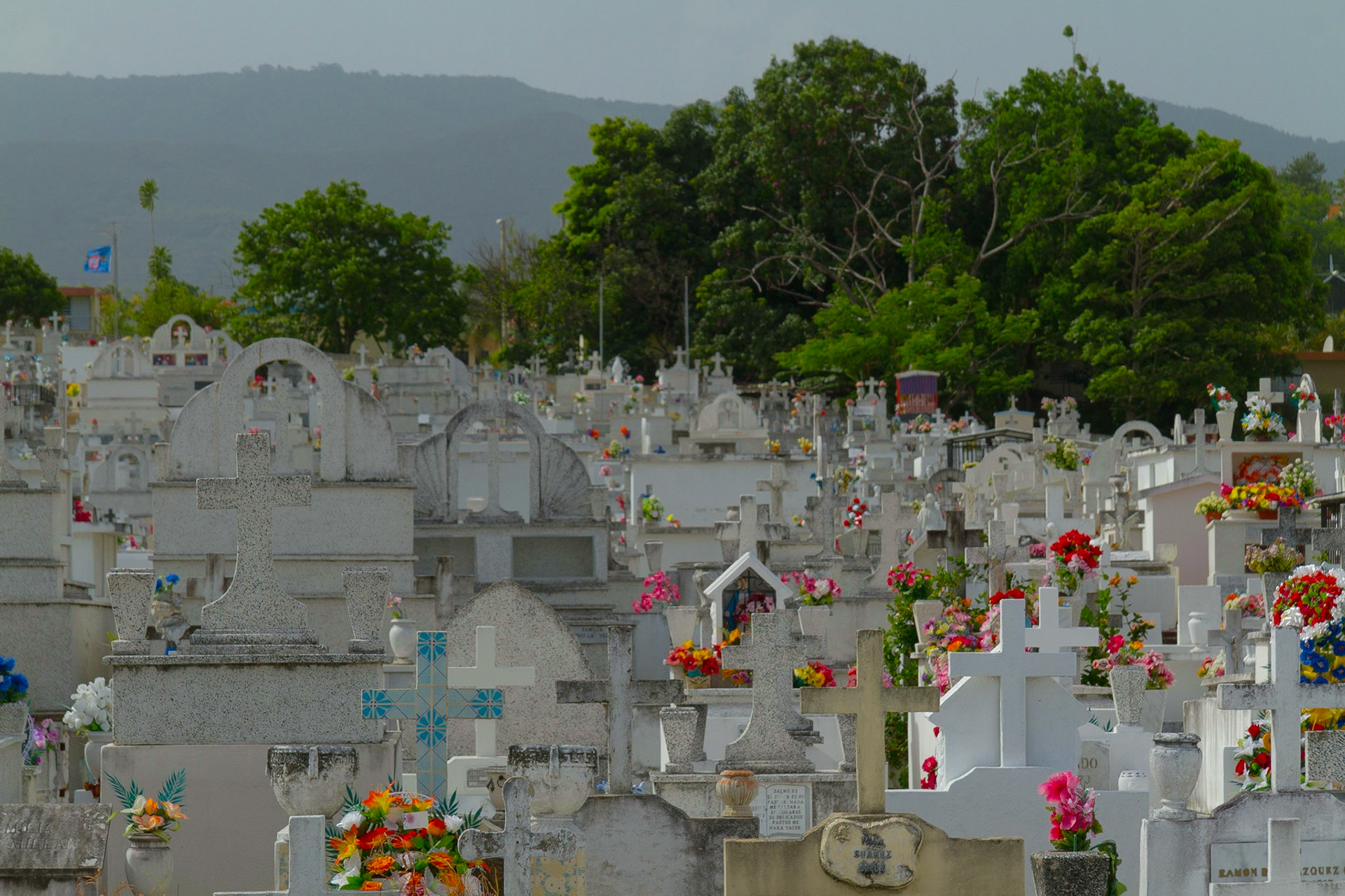 One of our very interesting stops was a huge cemetery in Sabana Grande.  It was extraordinarily elaborate.