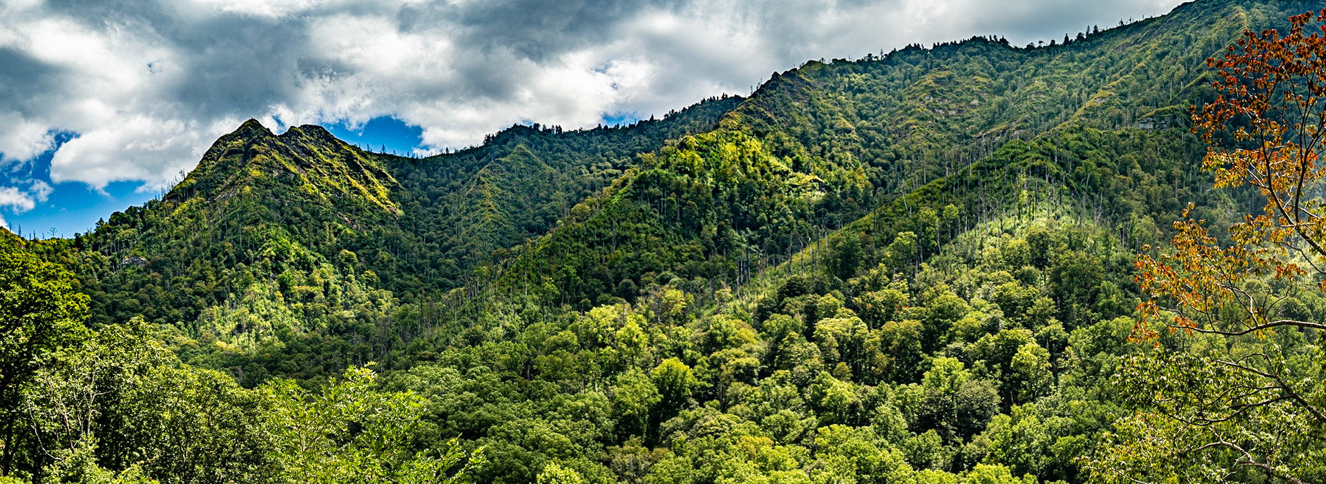Late Summer Chimney Tops Overlook, September 1, 2022