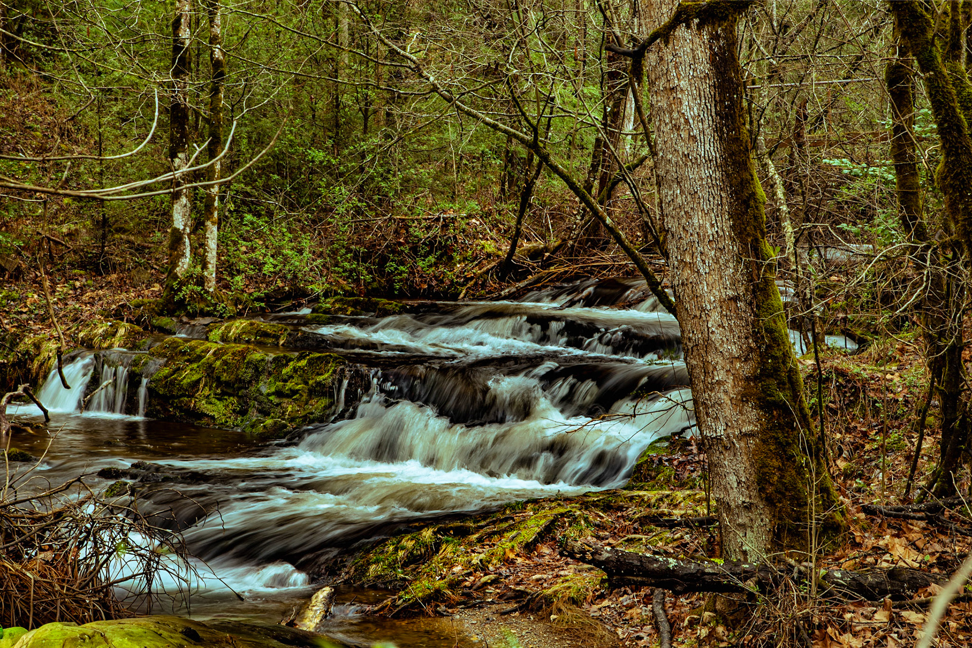 Cascades on Mill Creek, Cades Cove, Great Smoky Mountains National Park, March 10, 2026