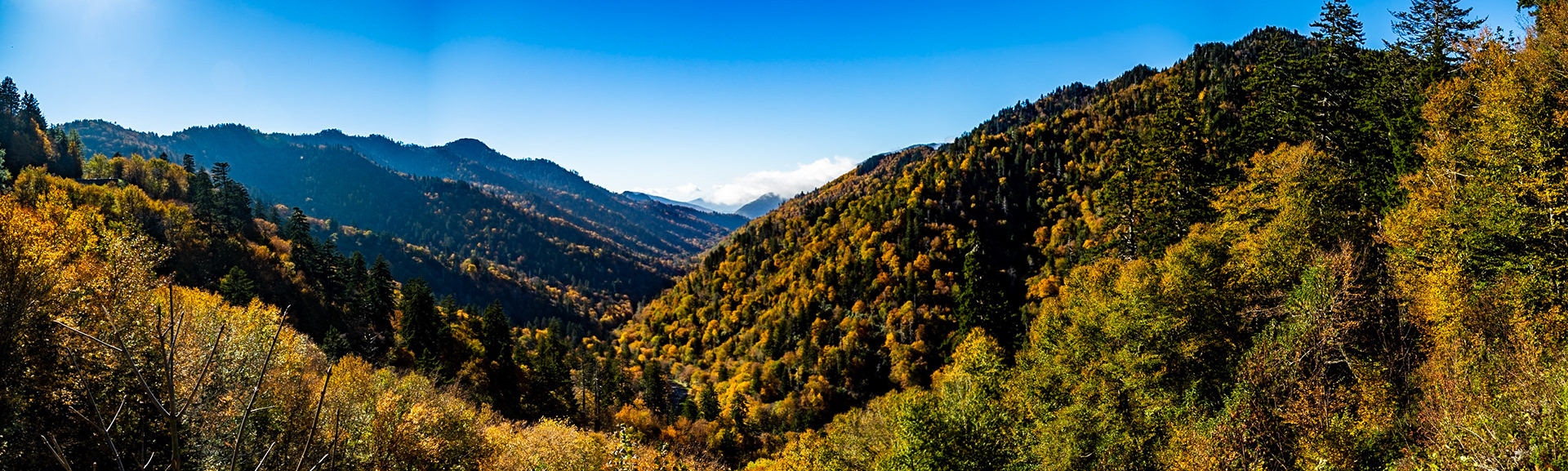 Morton Overlook, Great Smoky Mountains National Park