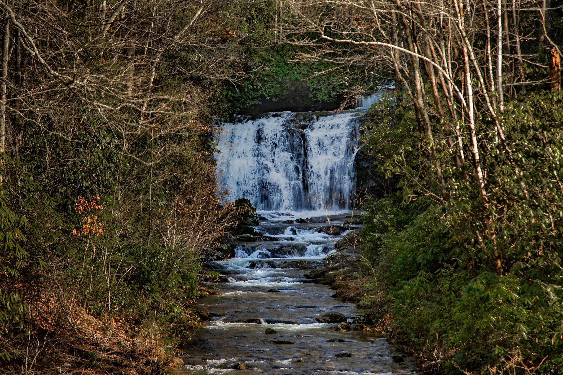 Meigs Falls, Little River Gorge Road, Great Smoky Mountains National Park, February 14, 2025