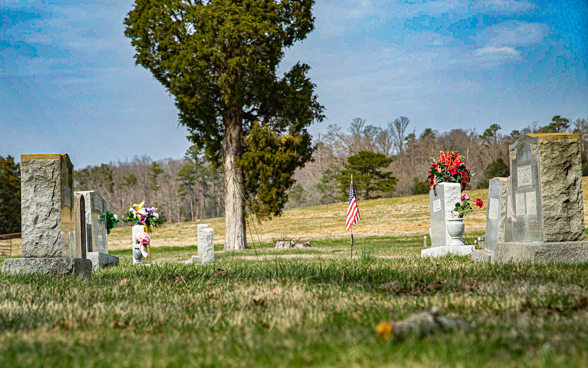 A Saturday afternoon outing along Tellico Lake.