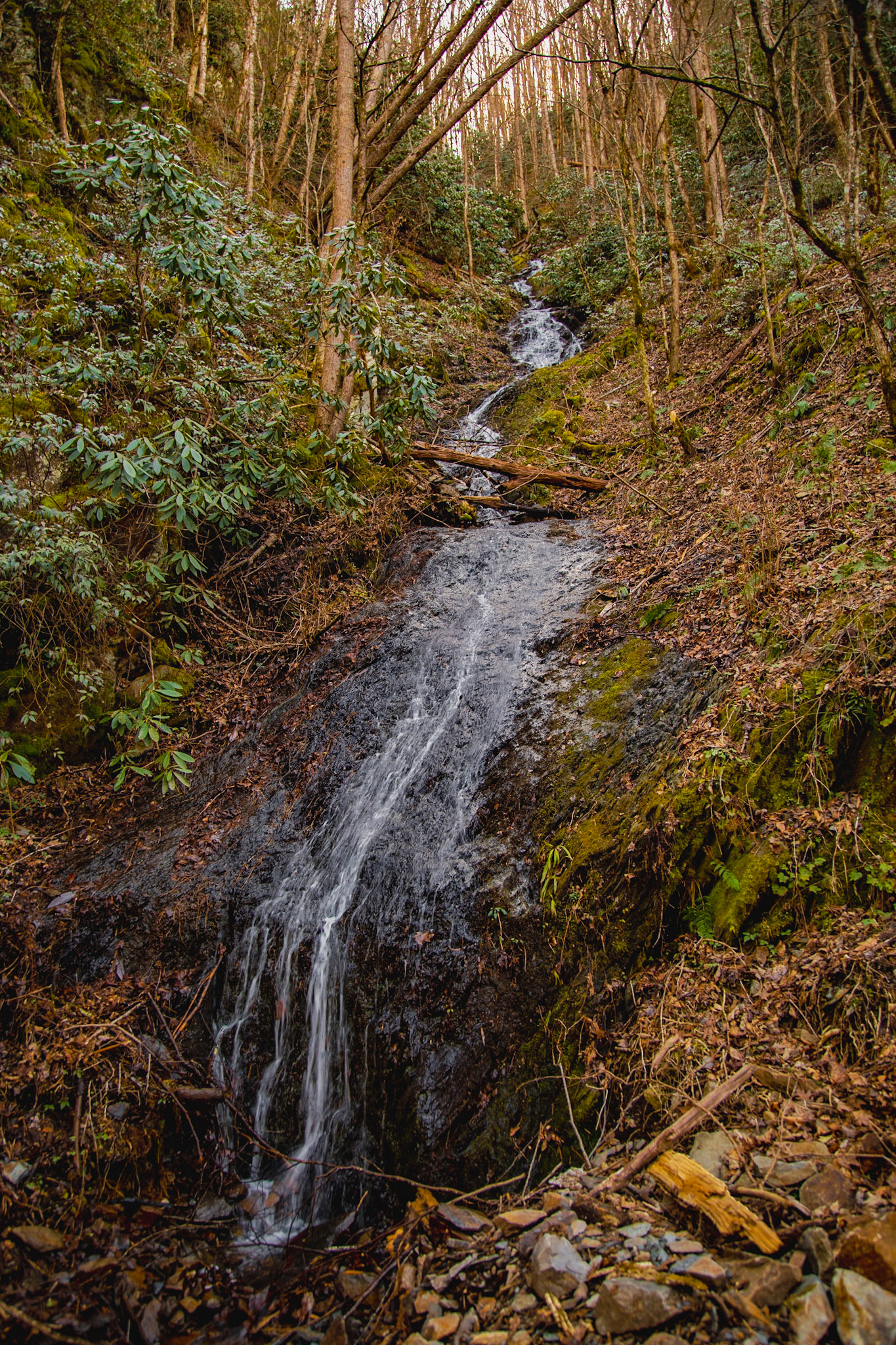Rain Reveals Streams on Tremont Road