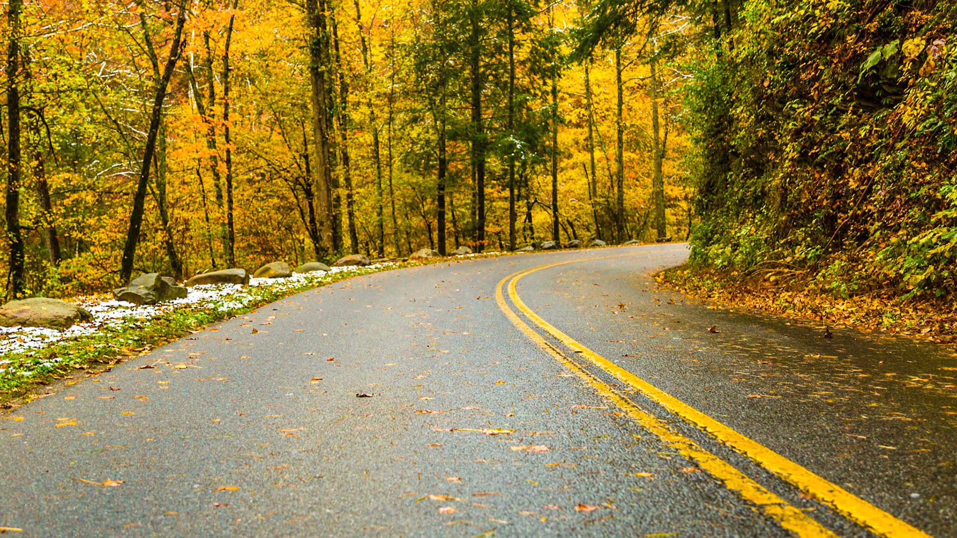 It was the day after Halloween, with considerable snow above 2,500 feet elevation.  Mt. LeConte had 22 inches.  All the Smoky Mountains National Park roads were closed.  We went to Townsend anyway.  The fall color was great.  At Cades Cove Road, it was time to walk for a bit.  Before leaving the area, we took a side trip to Wears Valley Methodist.