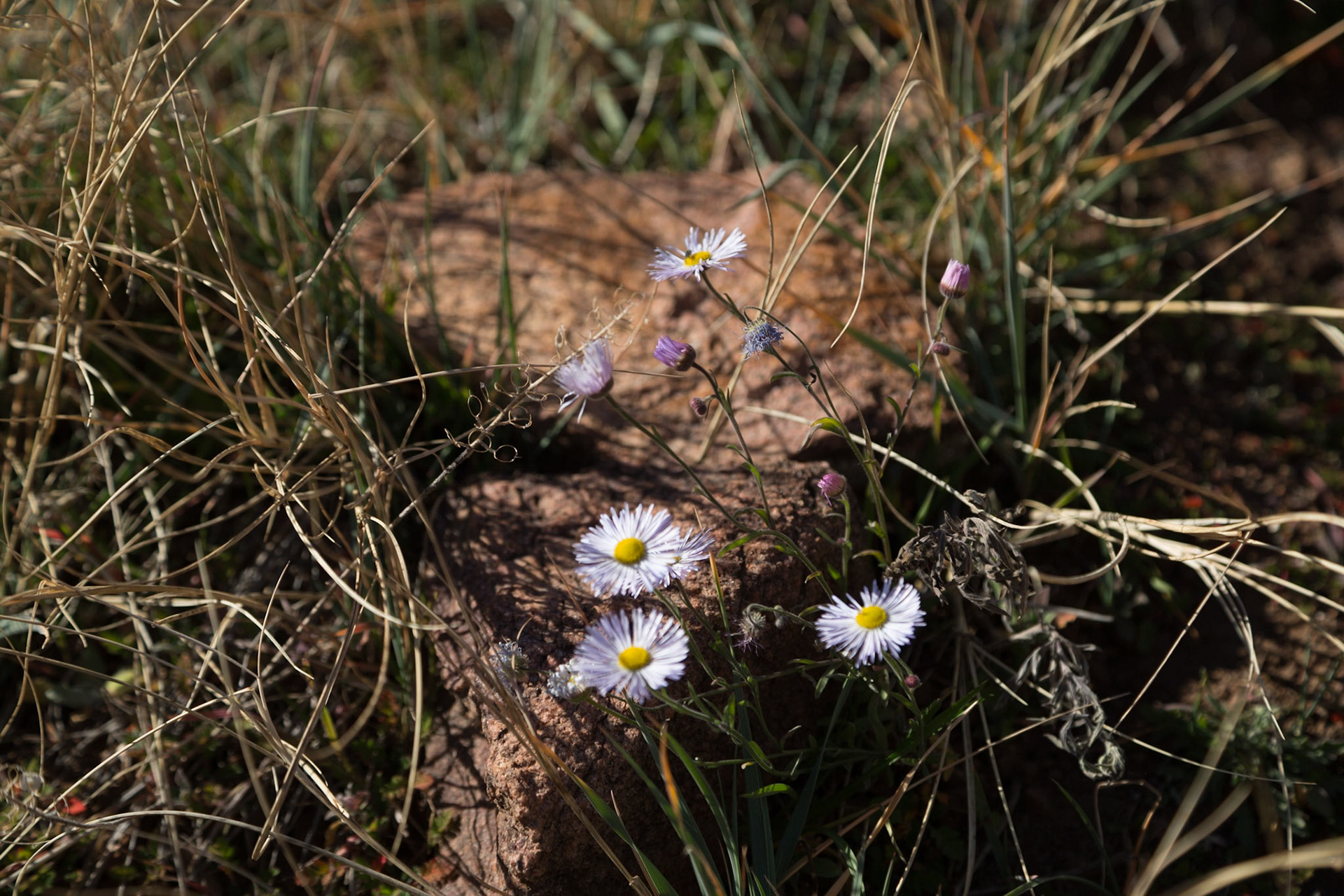 Outing to Red Rock Park and Ampatheater