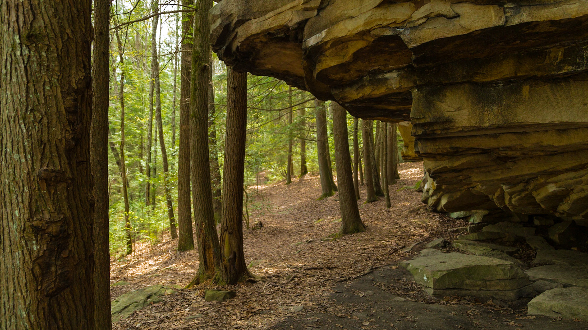 Christie and I went on a scouting mission to the Obed Wild and Scenic River. We hope Trever, Grace and Raven will be able to return there with us this summer.