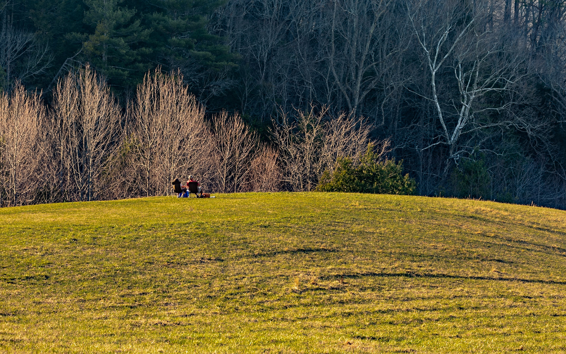 Life is Tough in Cades Cove