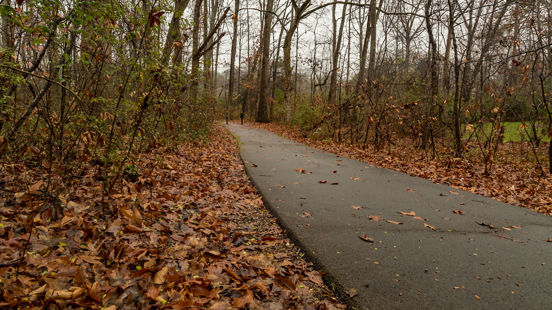 We have been in the house almost all of Christie's birthday today.  I kept looking outside, thinking how peaceful it looked.  Finally, I went for a short walk.  My fingers got cold and my butt got wet, setting on the ground to get down low.