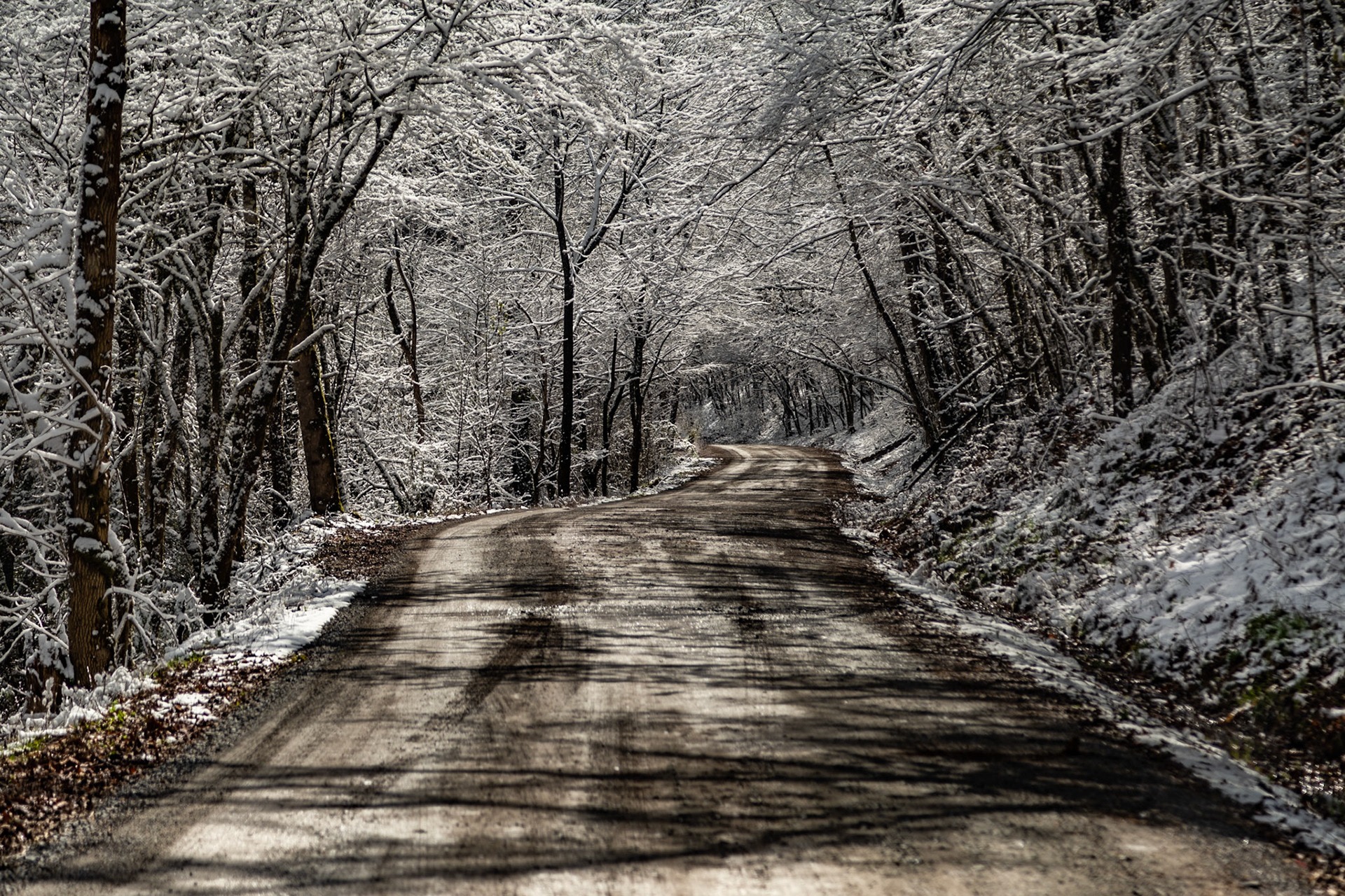 Citico Road at Duncan Branch, March 12, 2022