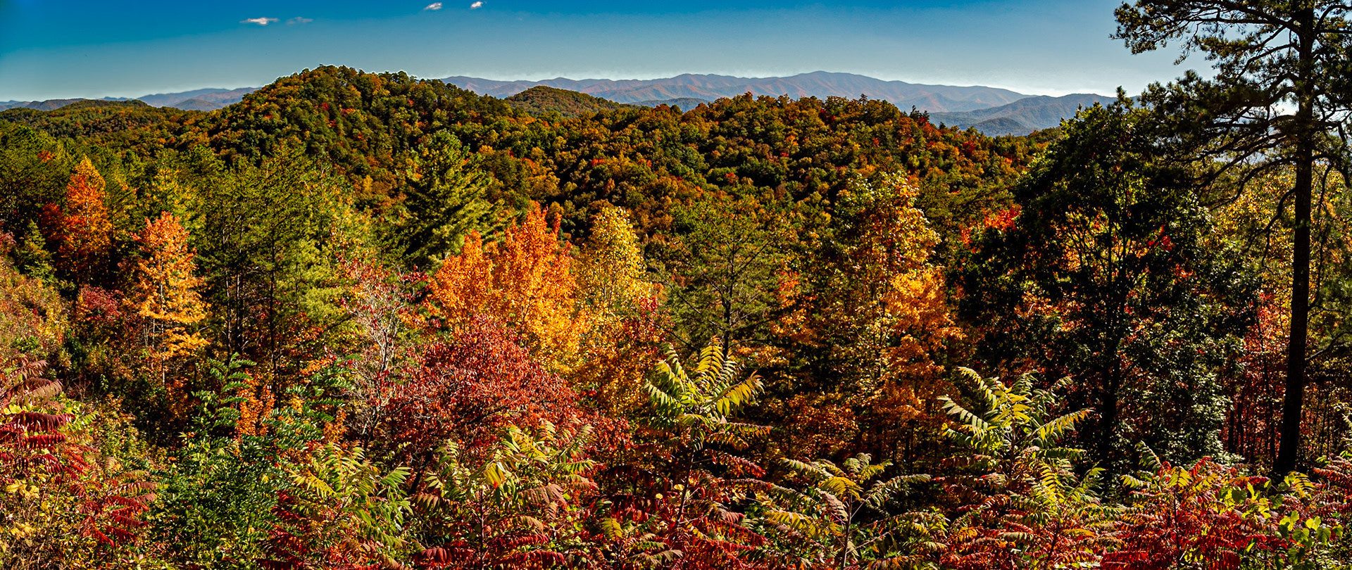 Foothills Parkway, October 22, 2023