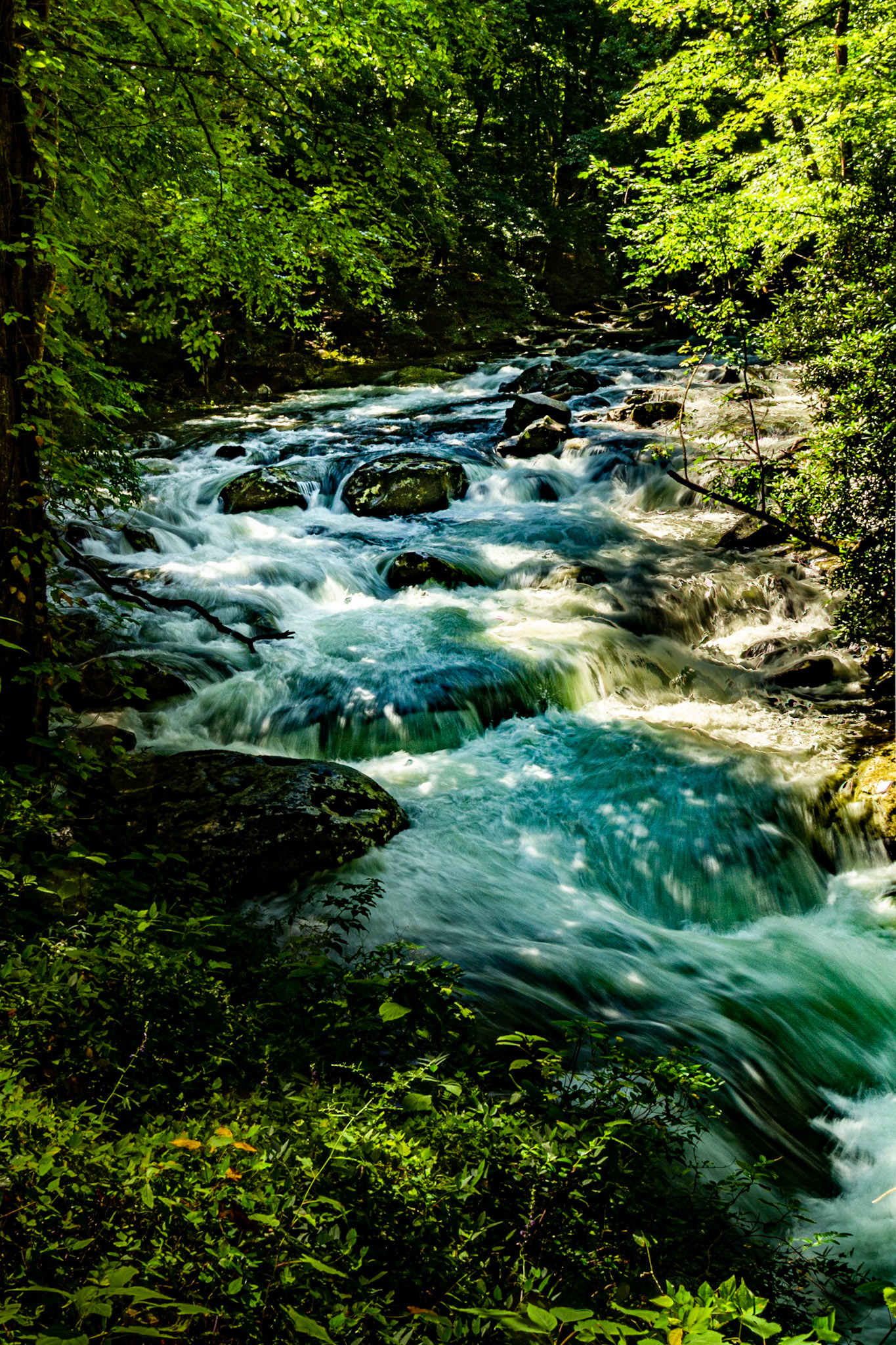 Middle Prong Little River