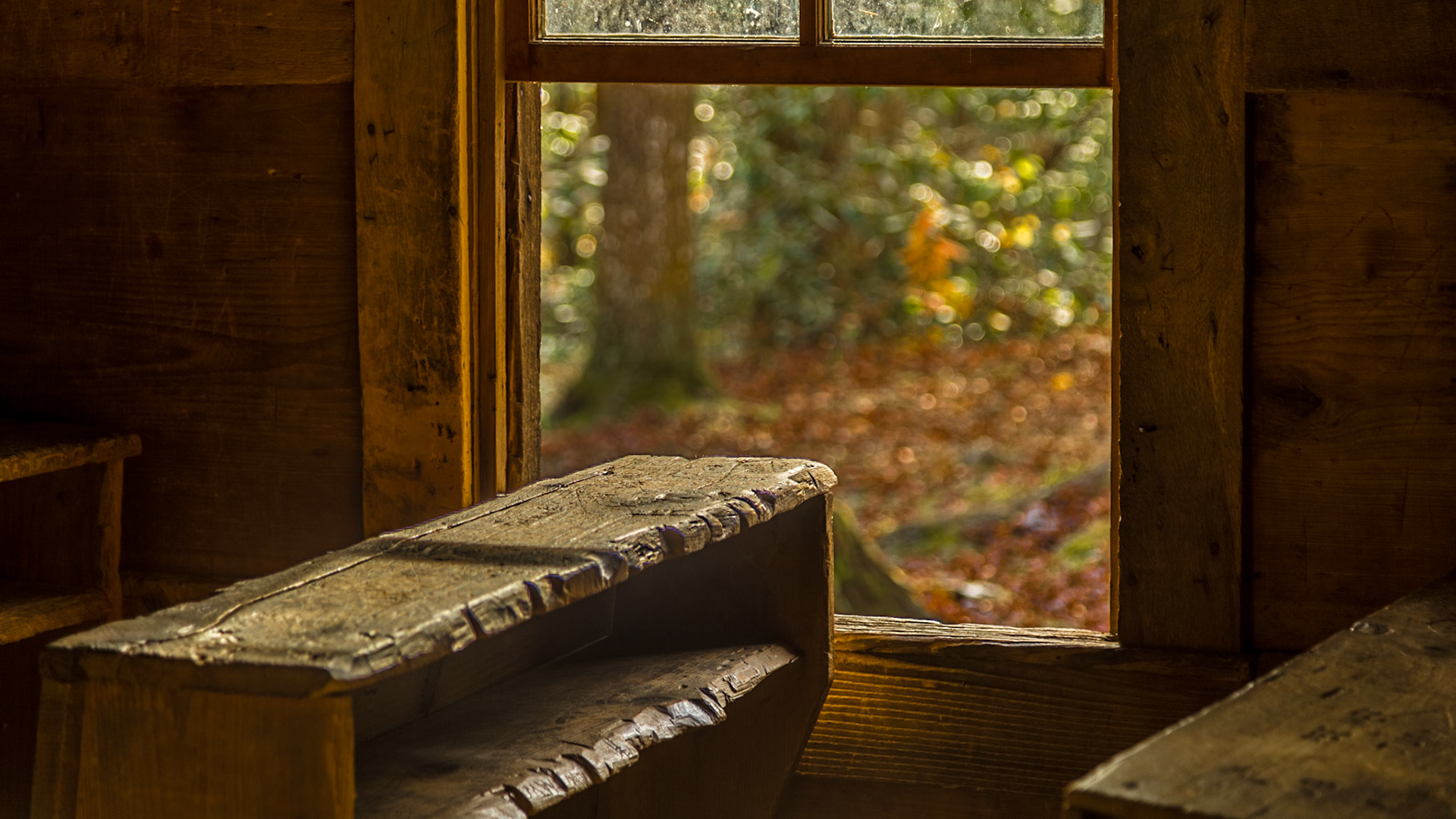 We went for a drive on November 11, 2017 that turned out to include a stop at Little Greenbriar School, near Metcalf Bottoms, in Great Smoky Mountains National Park.