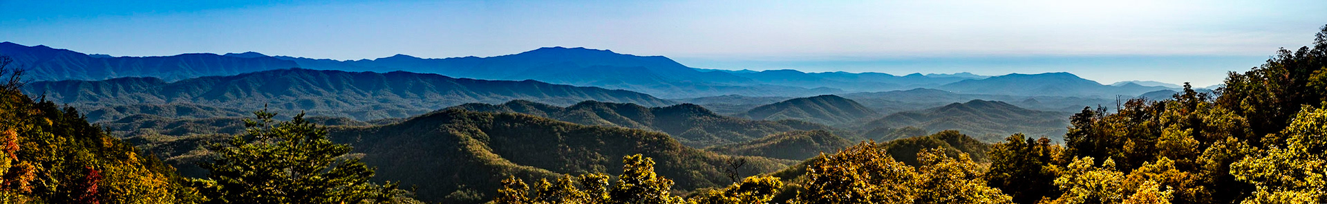 The Preserve at English Mountain