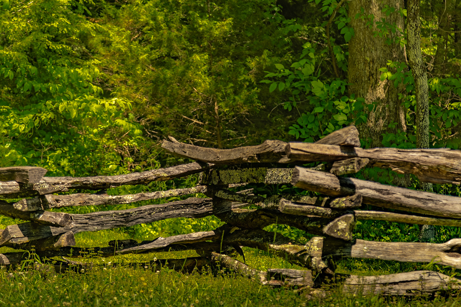 John Oliver's Cabin, Cades Cove, Great Smoky Mountains National Park