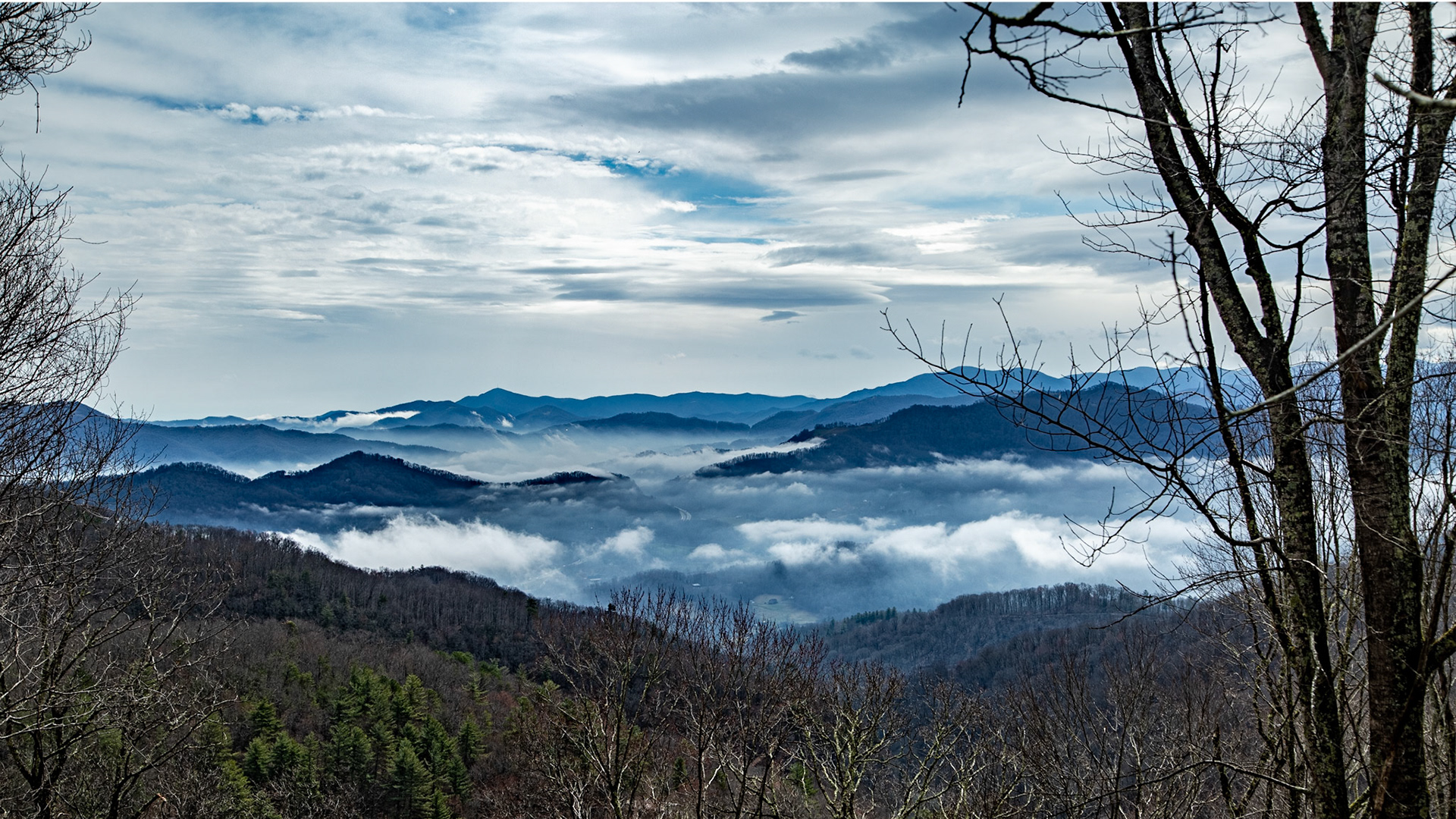 Fog and Mountains from Cove Creek Gap, North Carolina