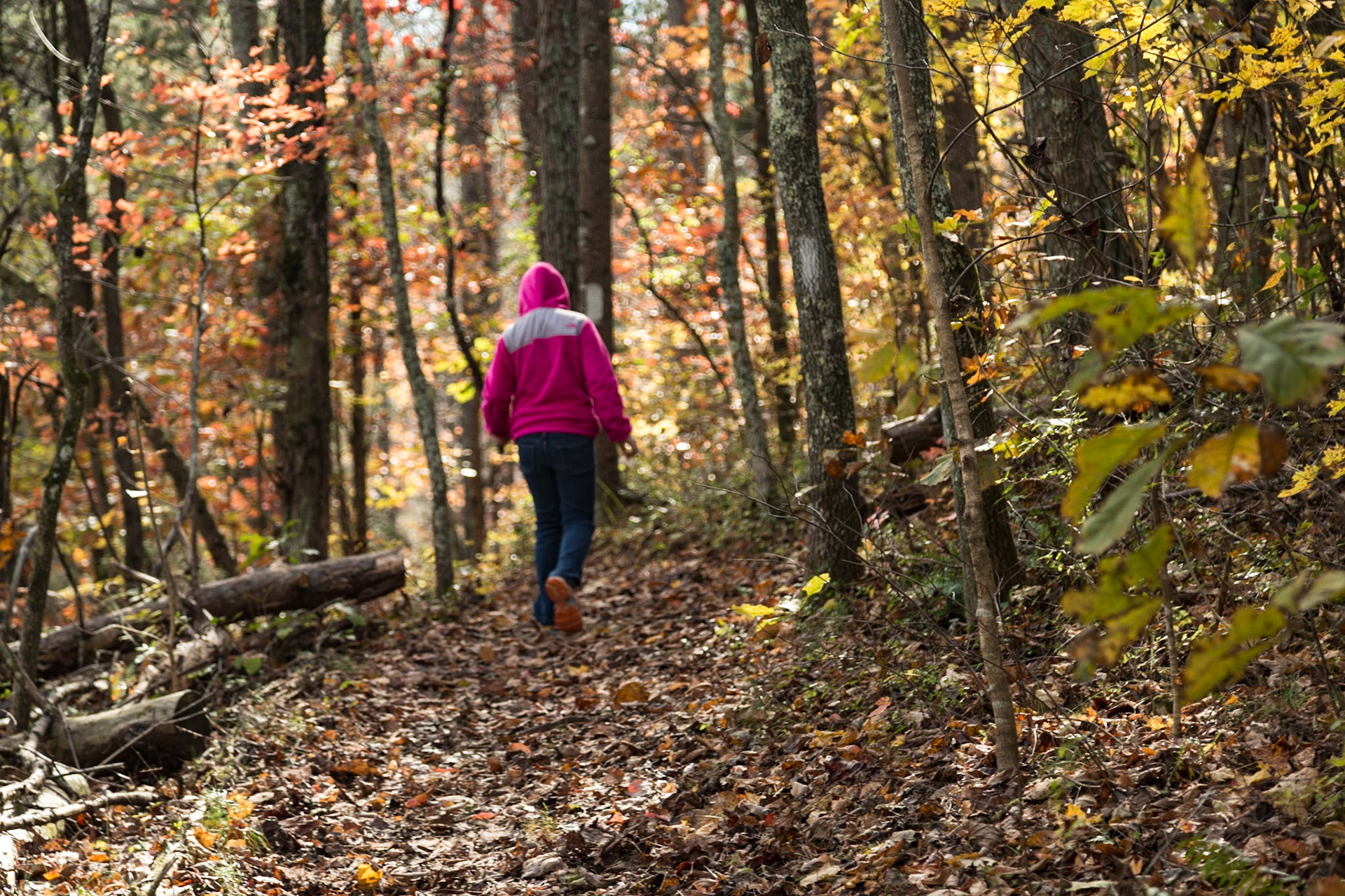 Raven at Coytee Trail, Tellico Lake East Shore - Saturday Morning, when Coit and his family visited.  Raven and I went to the Coytee area of the East Shore, Tellico Lake.  I have thought it would be a good trail to explore since I found the trailhead.  It turns out that the trail I wanted to take was Sinking Creek instead of Coytee, which goes the other way.