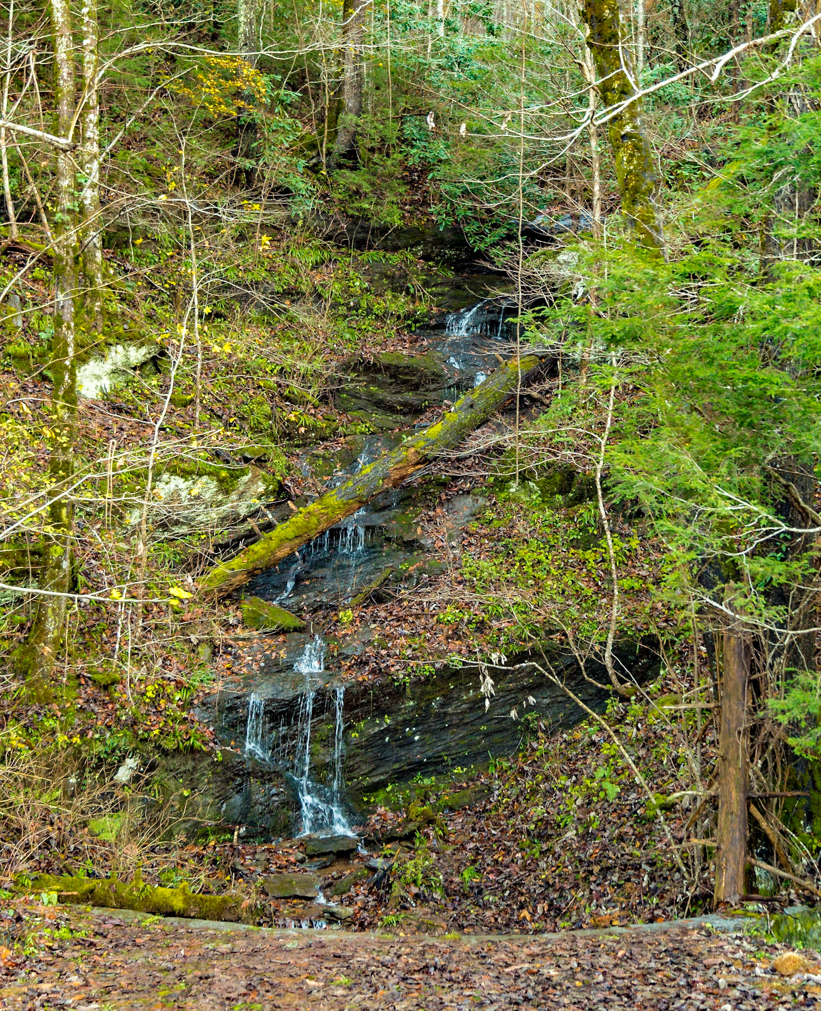 Above Carr Creek on Foothills Parkway