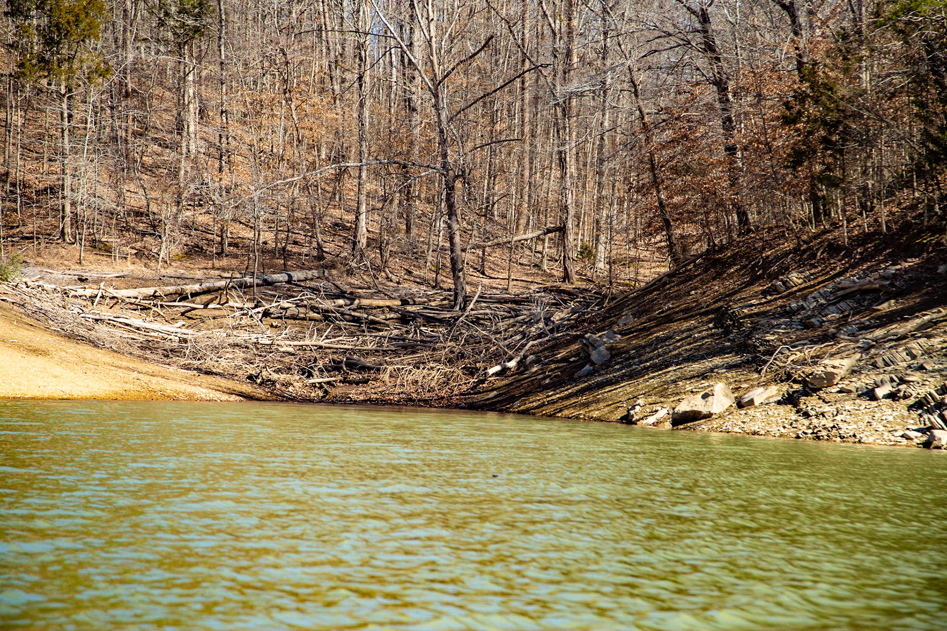 William &amp; Mary Lewis Home Site