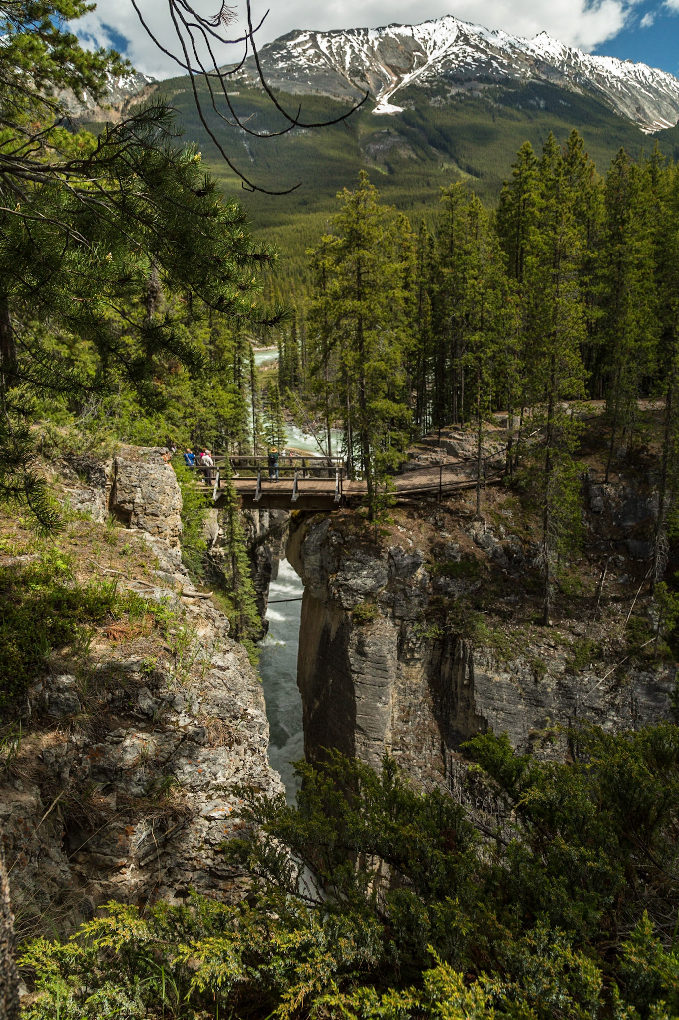 Our next turn off Icefield Parkway was at a lodge, restaurant and gift shop at Sunwapta Falls.  A tremendous amount of water was flowing through a 30 wide “crack” in a rock formation.  The drop is sixty feet, in the form of an upper fall and a lower fall, with the stream soon flowing into the Athabasca River.  Both cascades are spectacular from good waking trails and a bridge over the upper falls.  We walked the area for pictures and video from several perspectives.  Then, we had lunch.