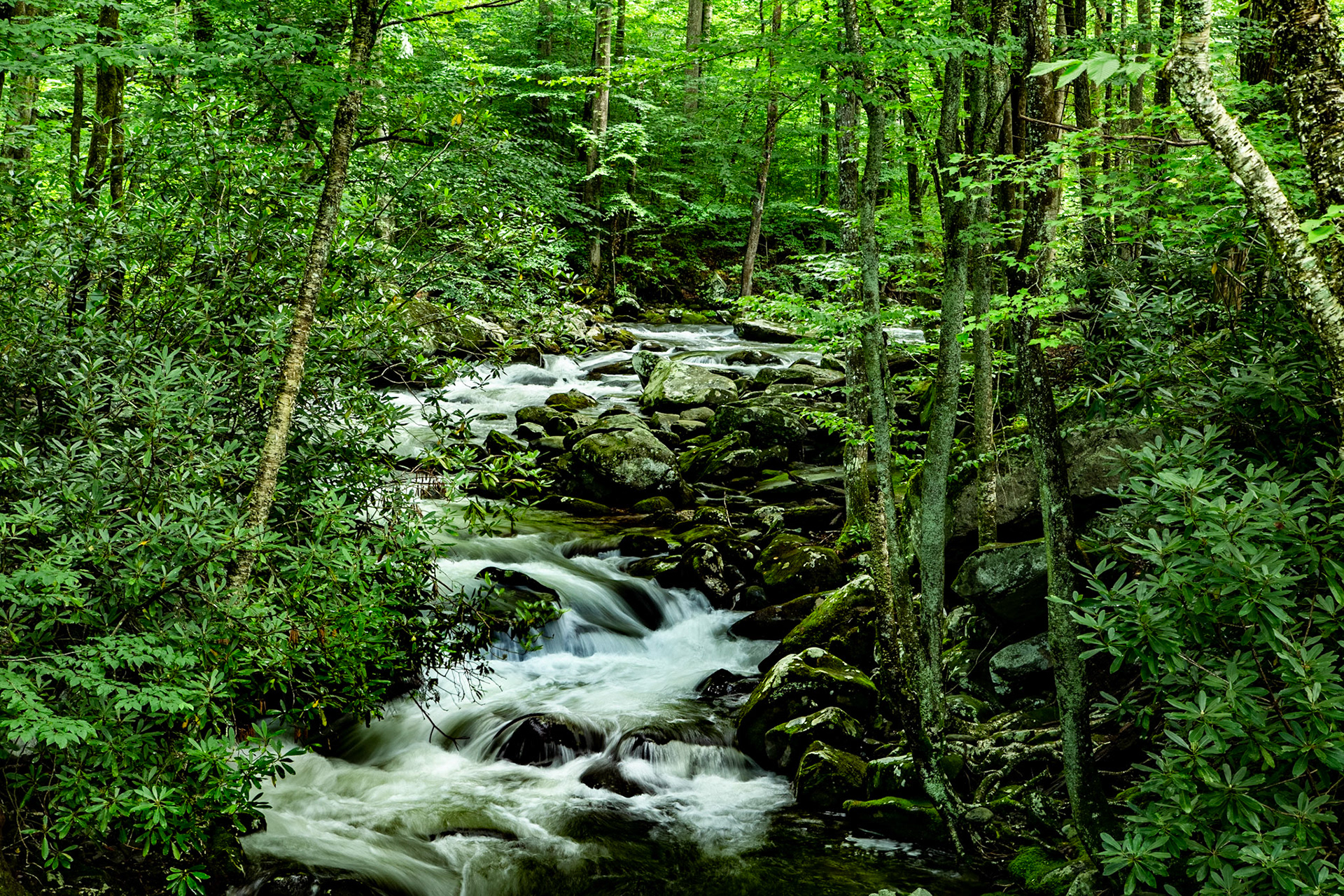 Middle Prong Little River