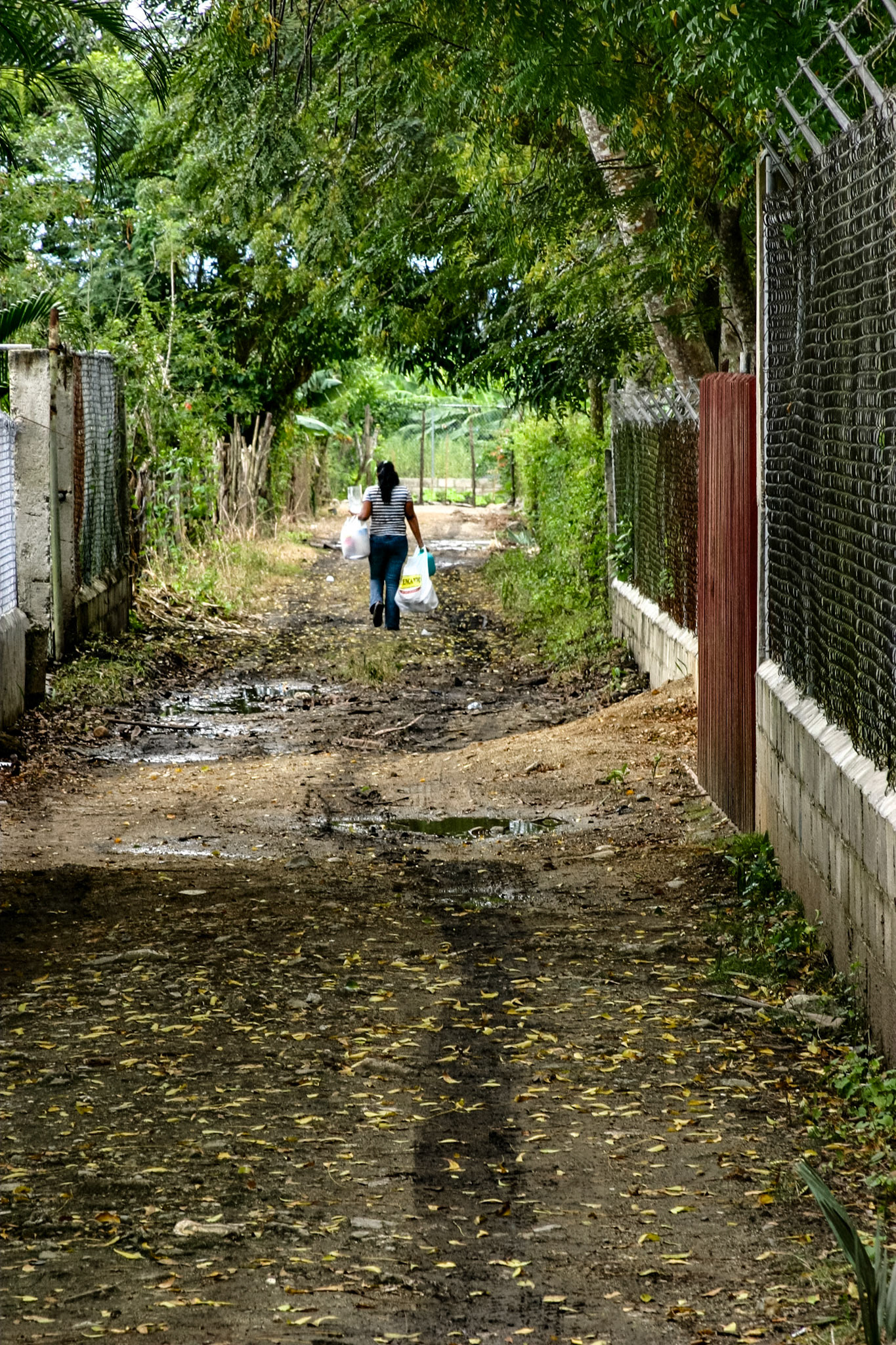 Near Institute for Latin American Concern (ILAC), Santiago de los Caballeros, Santigo, Domincan Republic, February 27, 2009