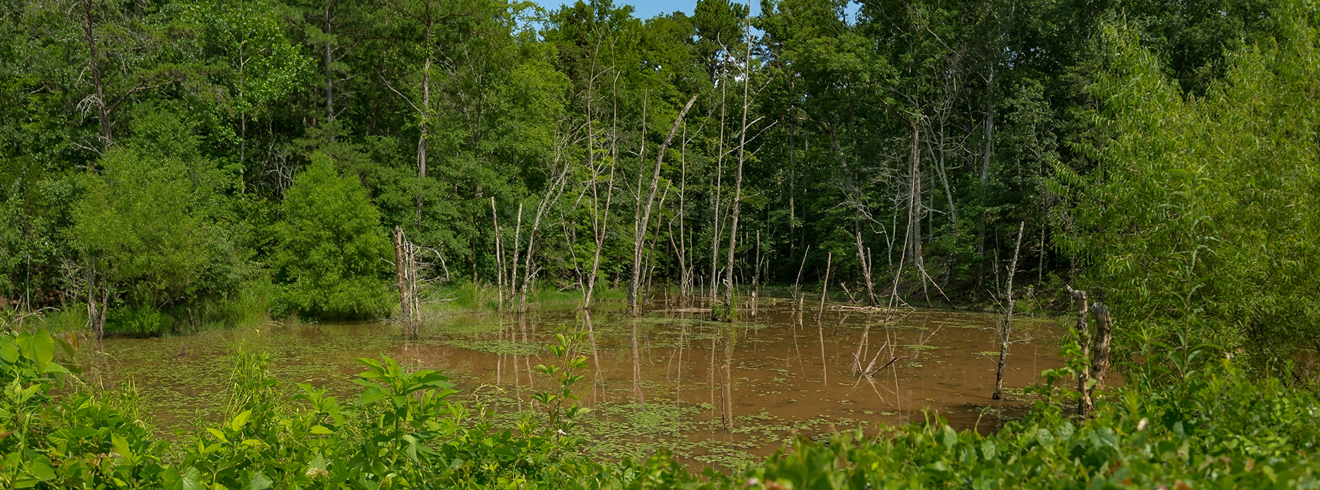 Little Tennessee River