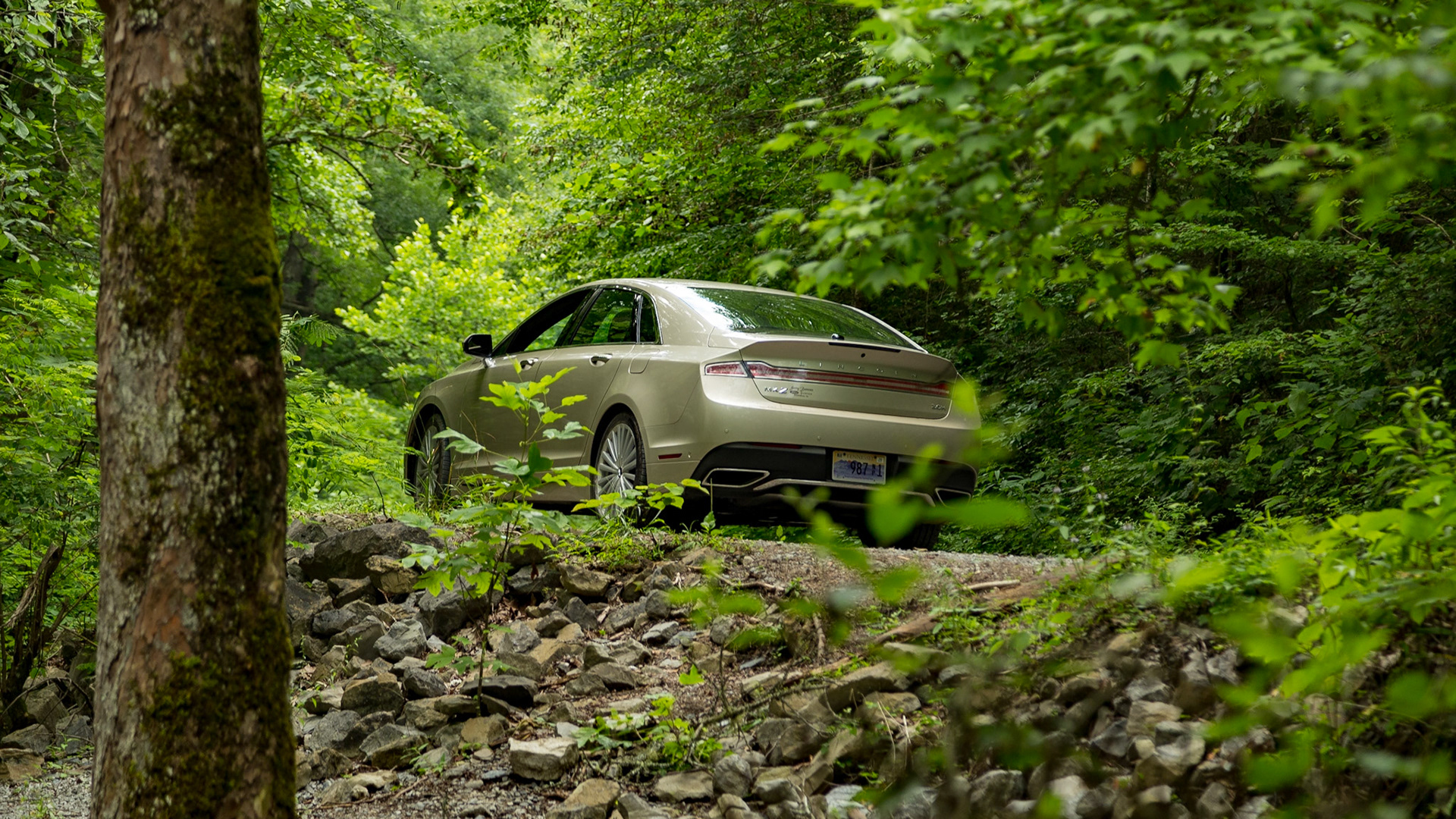Near Cold Springs Road Intersection