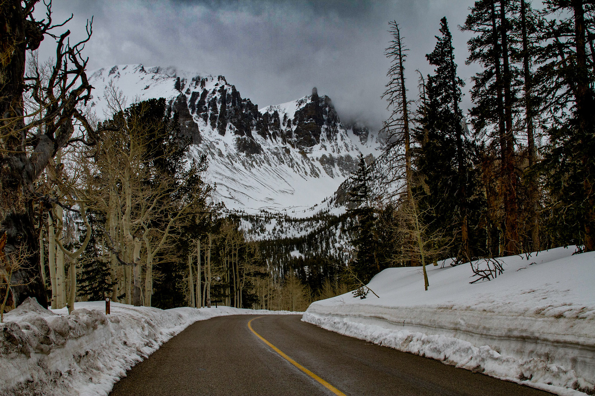Great Basin National Park, Wheeler Peak, May 22, 2011 - At Baker, which is the town outside Great Basin National Park, I had lunch then visited the park headquarter.  There I learned that the road had opened to the 10,000 foot level just the day before.  The storm I had seen from Osceola was coming over these mountains now, with thunder from time to time.  I realized that I should be on my way if I expected to reach the higher elevations.  There may be more snow up there soon.  At the Summit Trailhead parking area, which is at 10,000 feet, the road was closed.  After a few pictures of the storm covered peak and aspen trees, it started to snow.  I headed back down.  When I left the park for my trip back to Ely it was raining.  Near a dead end for a road my map indicated was a shortcut; I found a jackrabbit for a few pictures, returned to Baker and drove back to Ely.