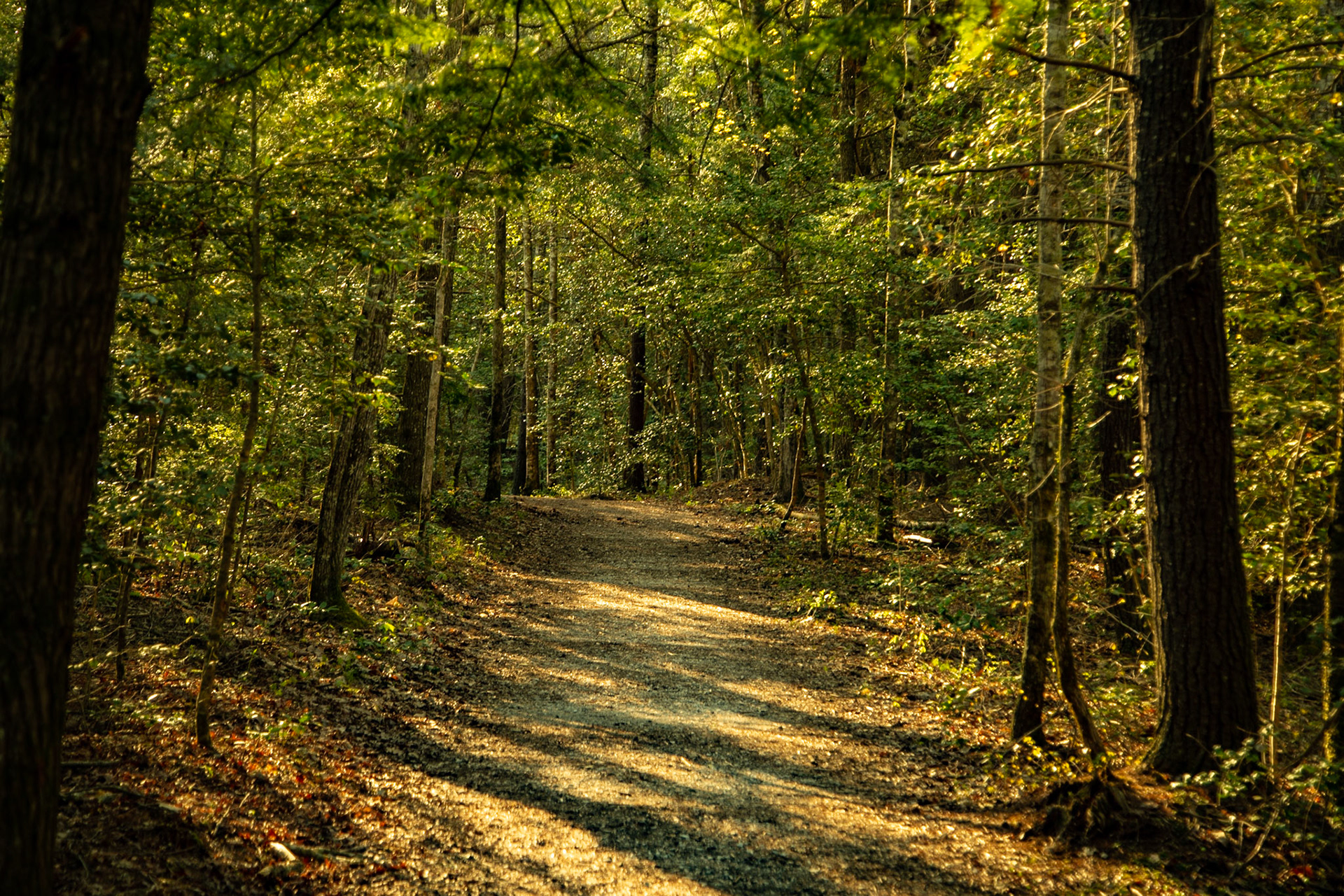Lilly Bluff Overlook Trail, Obed National Wild &amp; Scenic River