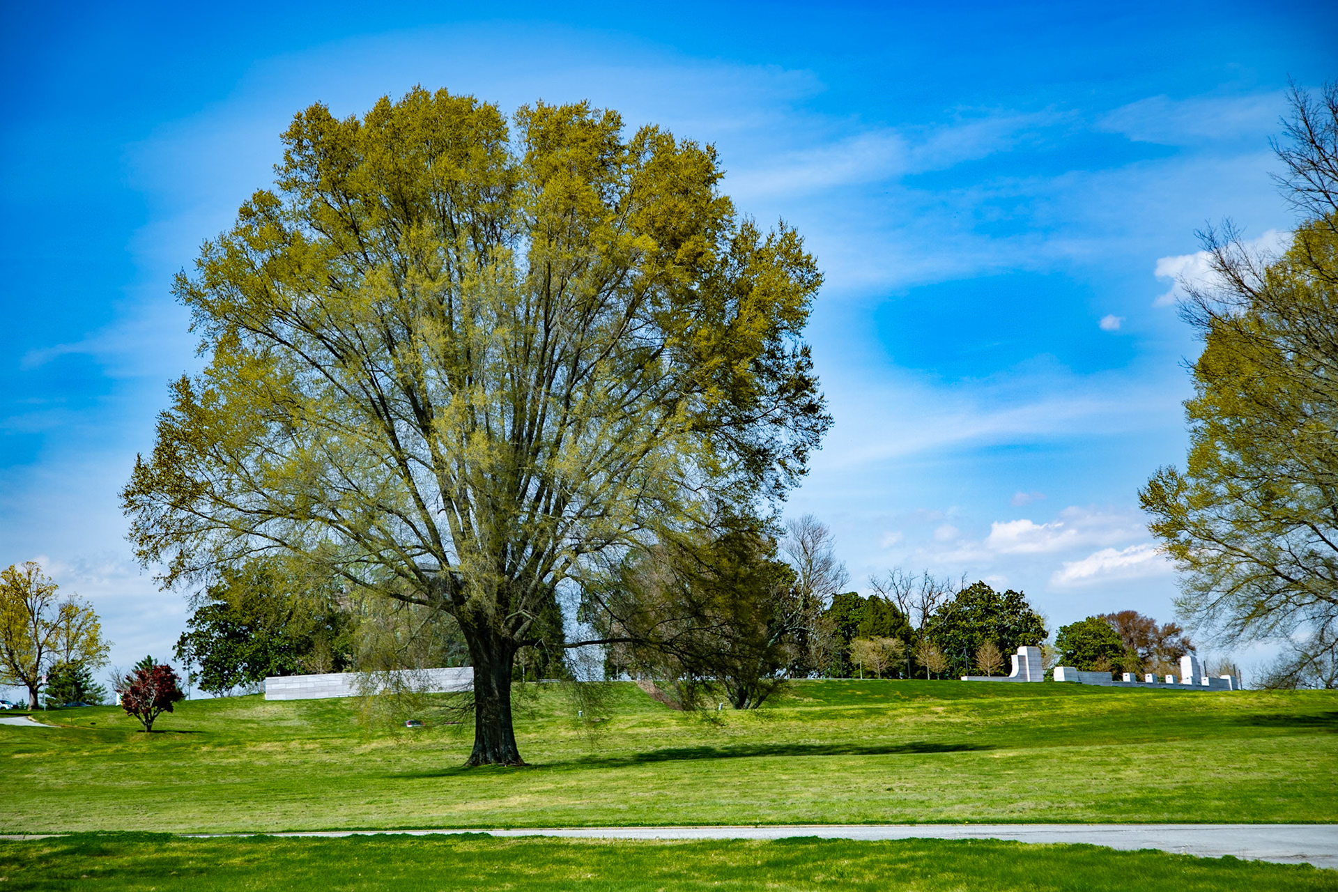 Spring in Lakeshore Park