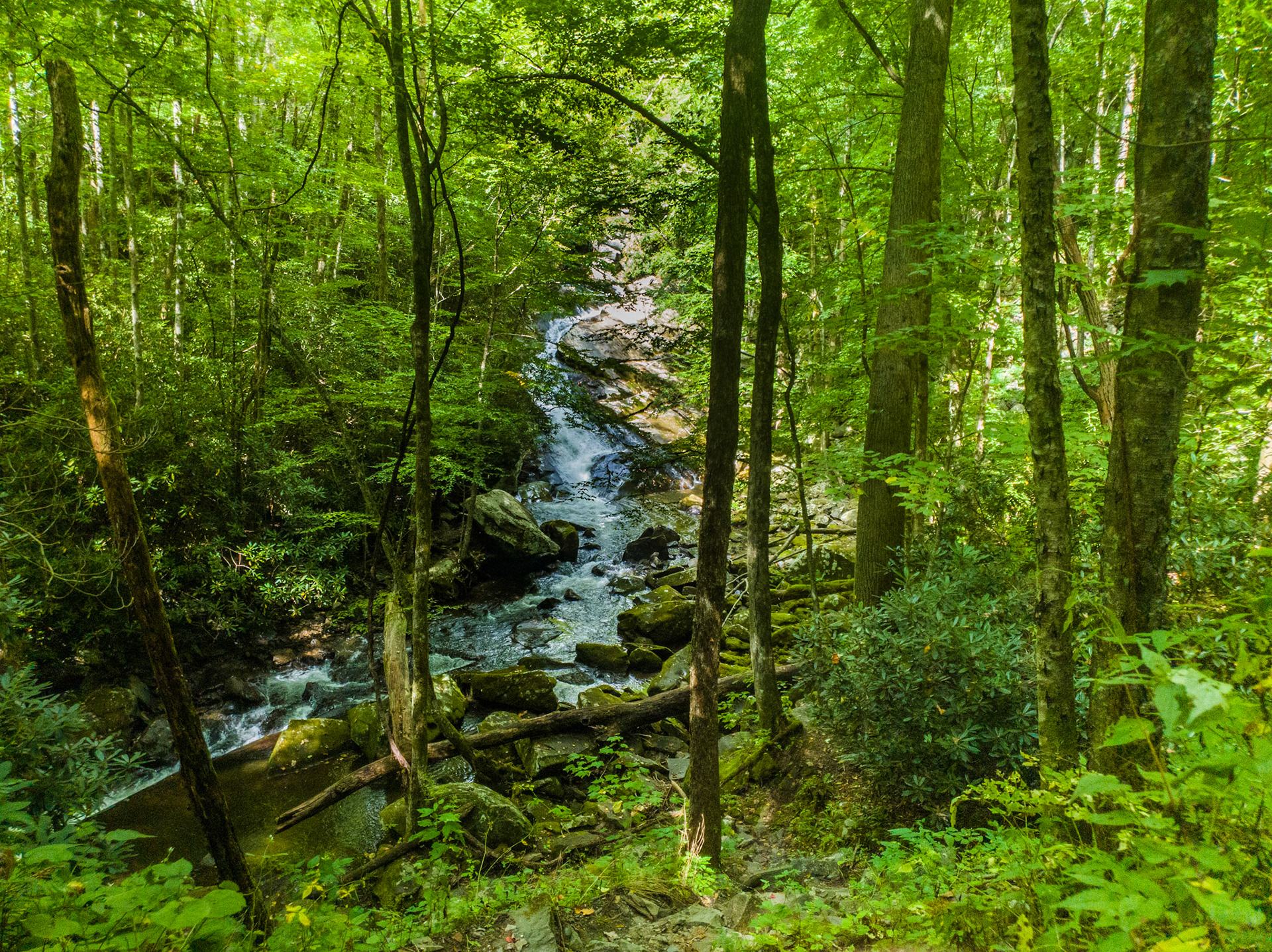 The best camera is the one you have with you. In this case, it was my Galaxy S!0 with the Lightroom app for a RAW file.